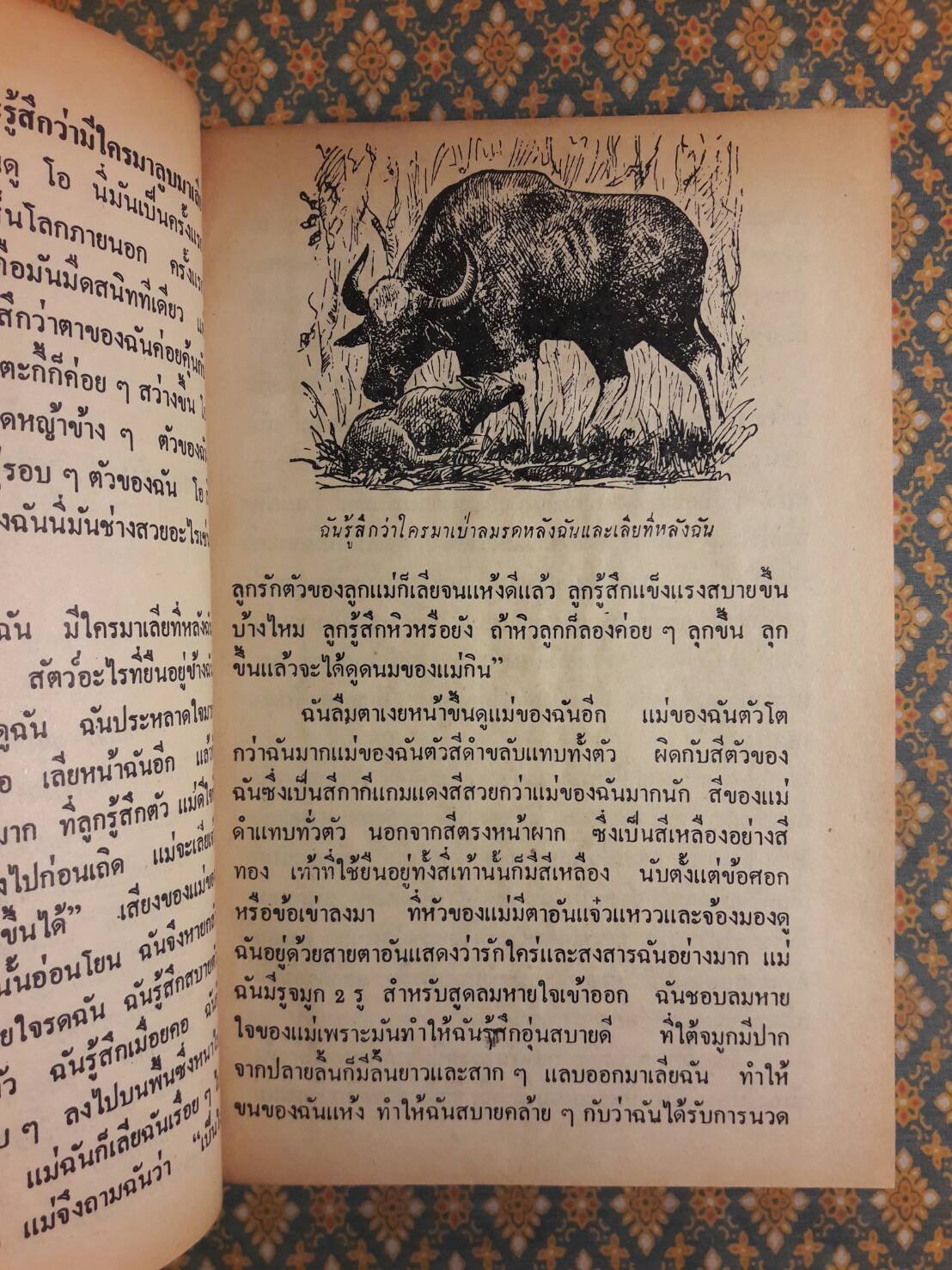 ชีวิตของฉันลูกกระทิง “หนังสือดี 100 ชื่อเรื่อง ที่เด็กและเยาวชนไทยควรอ่าน”