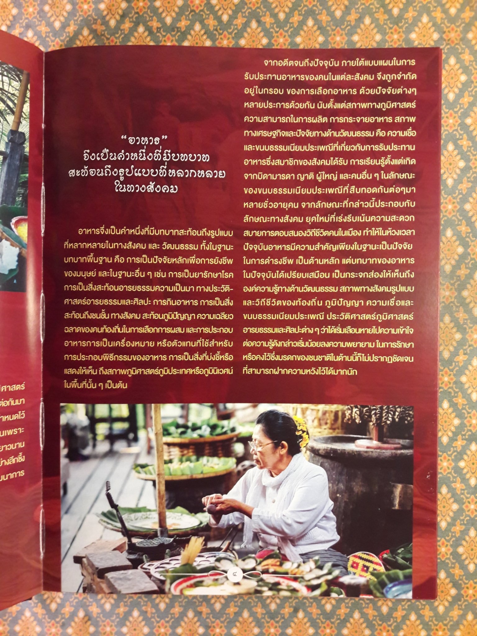 องค์ความรู้อาหารพื้นถิ่นลำปาง Lampang Local Food