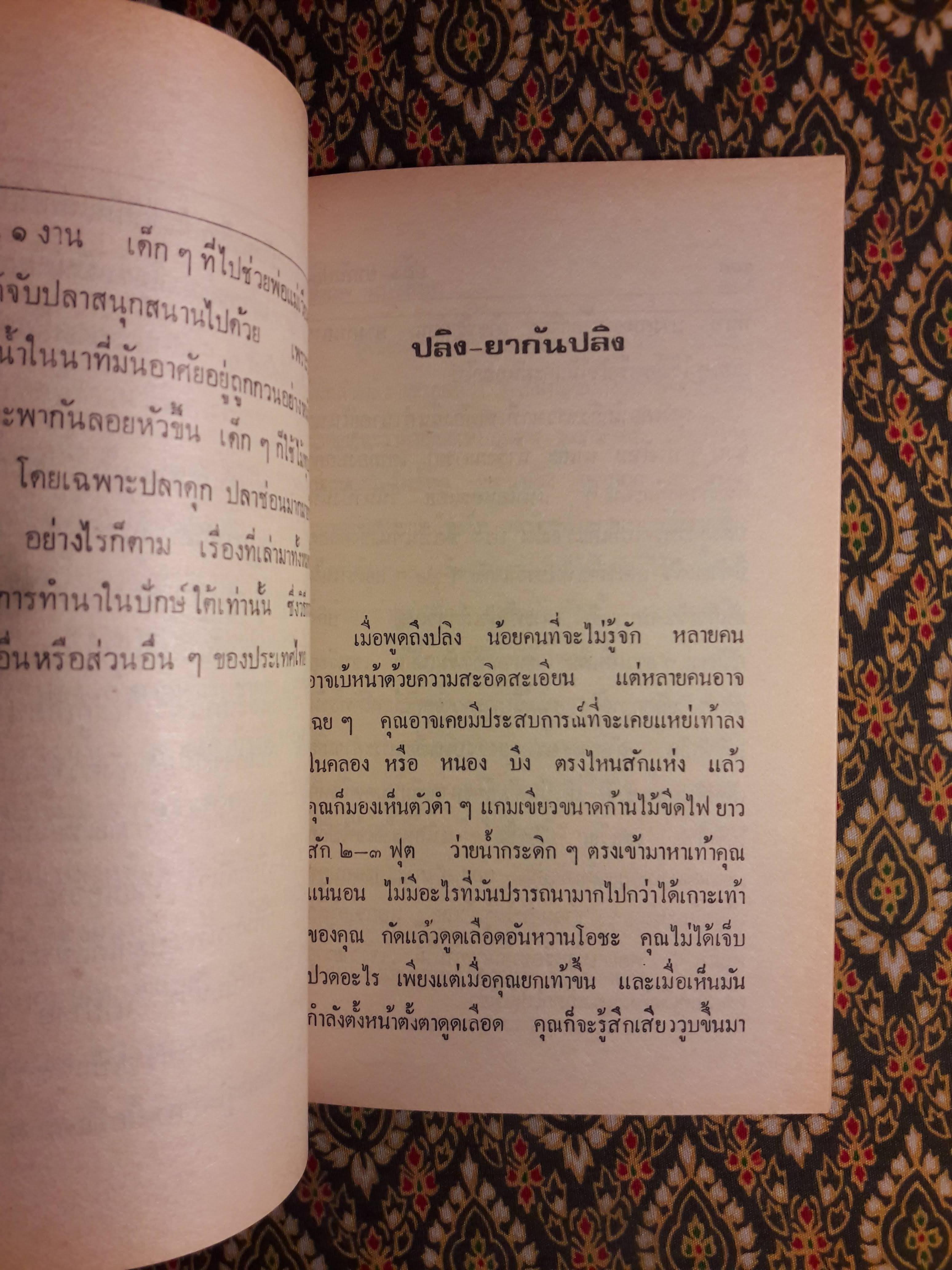 ชีวิตไทย