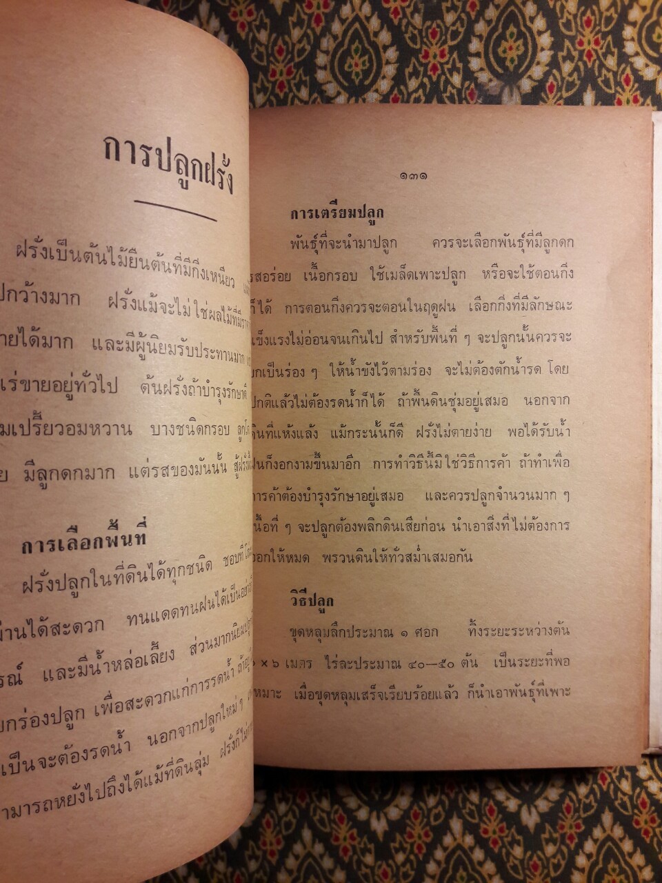 คู่มืออาชีพการเกษตรและการทำสวนผลไม้ทุกชนิด