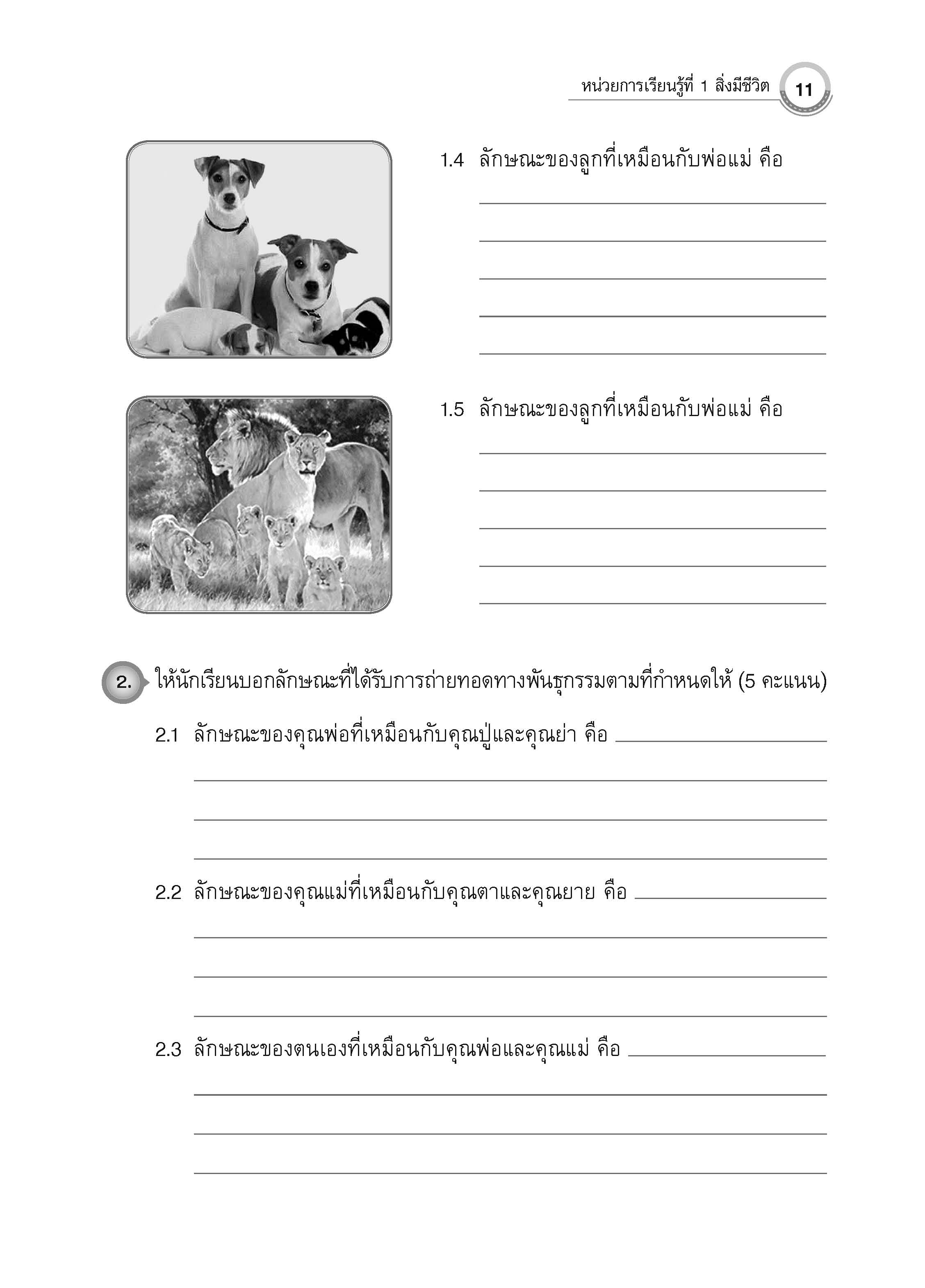 แบบประเมินผลตามตัวชี้วัด วิทยาศาสตร์ ป.5 (ฉบับปรับปรุง พ.ศ. 2560)