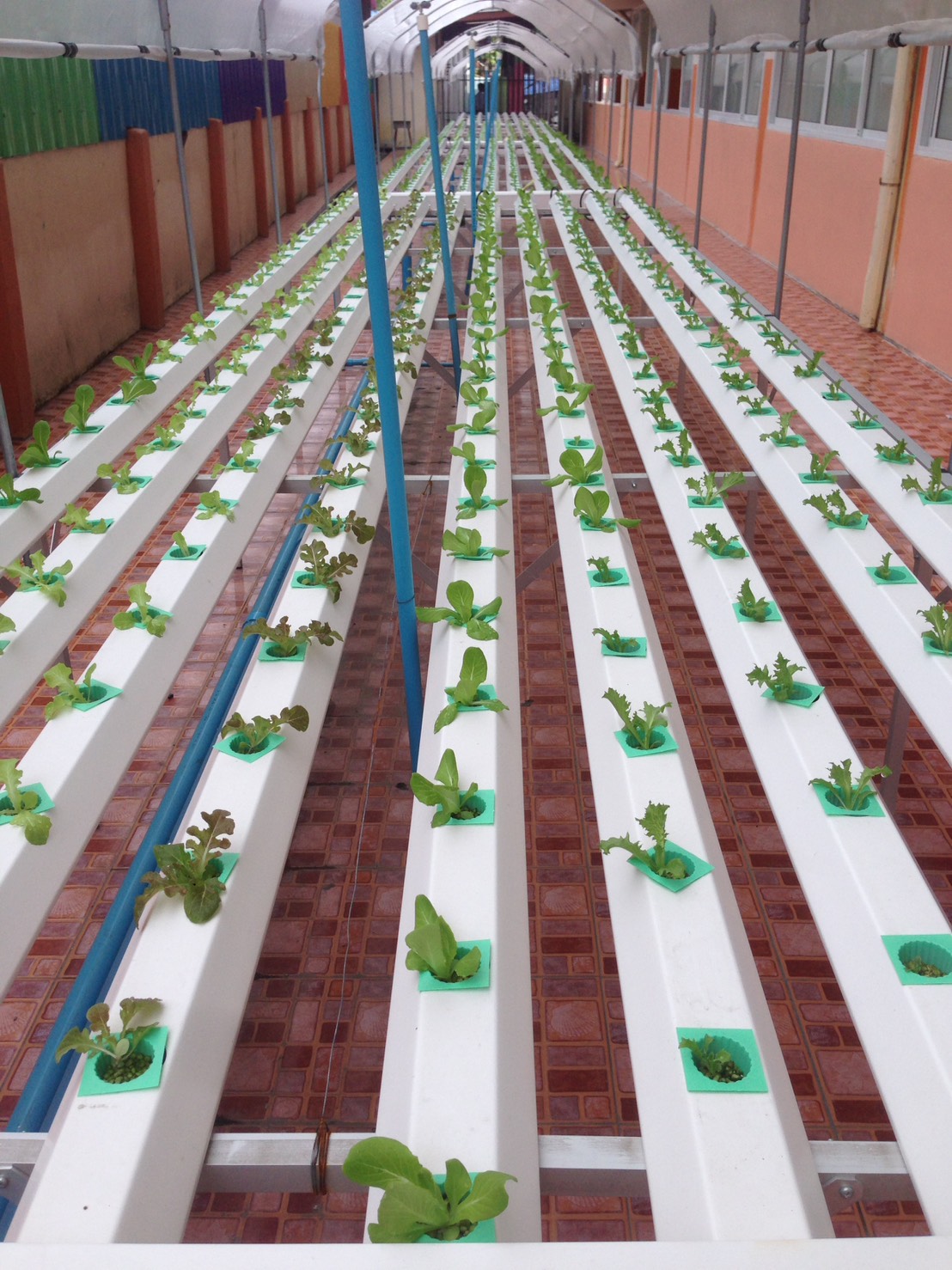 โรงเรียนวัดชมนิมิตร