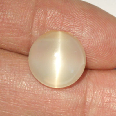 มูนสโตนตาแมว หรือ มุกดาหารตาเเมว (Cat's eye Moonstone) 9.40 กะรัต รูปร่างดี เนื้อเนียน มีตาเเมว