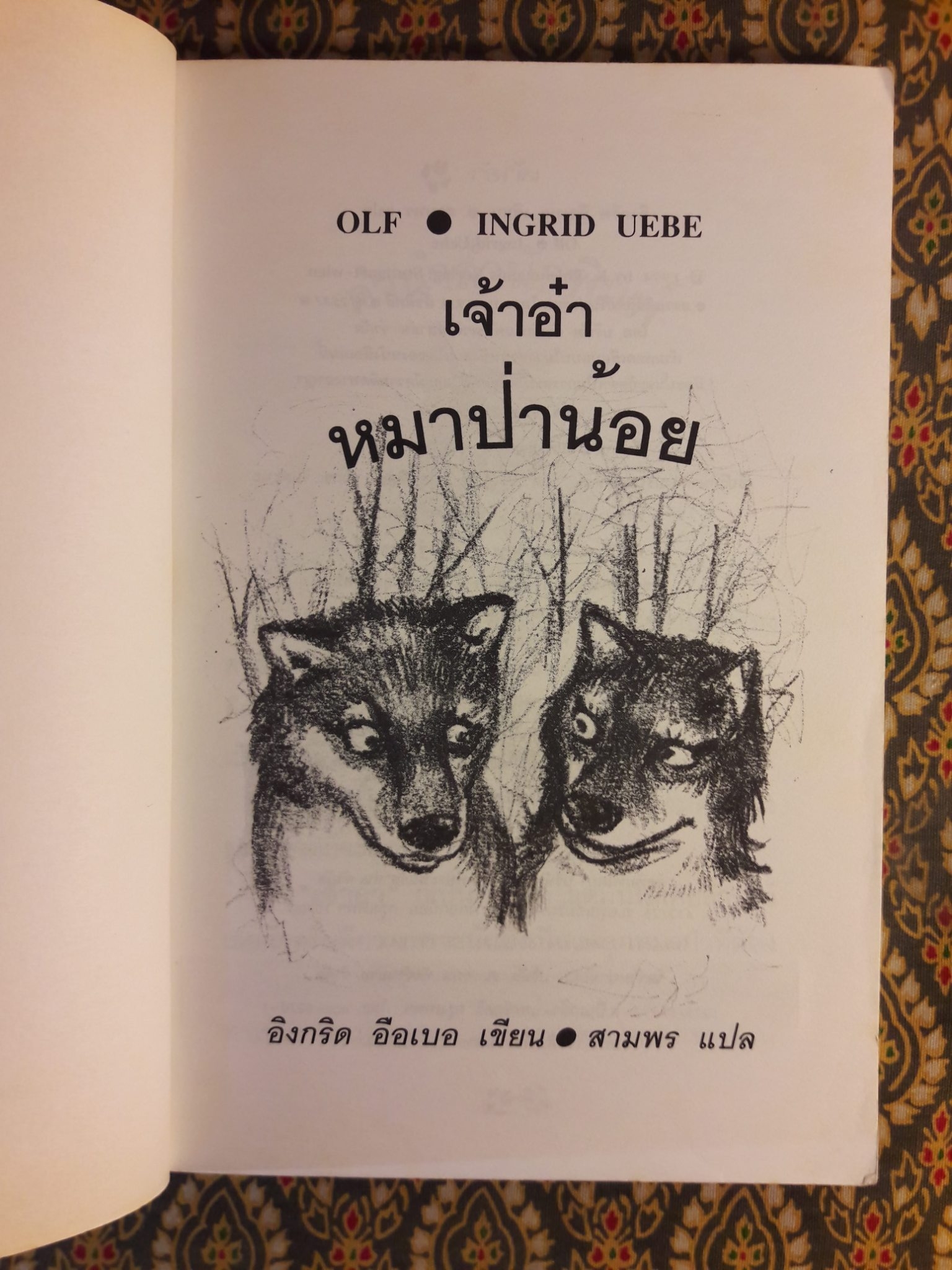 เจ้าอ๋าหมาป่าน้อย