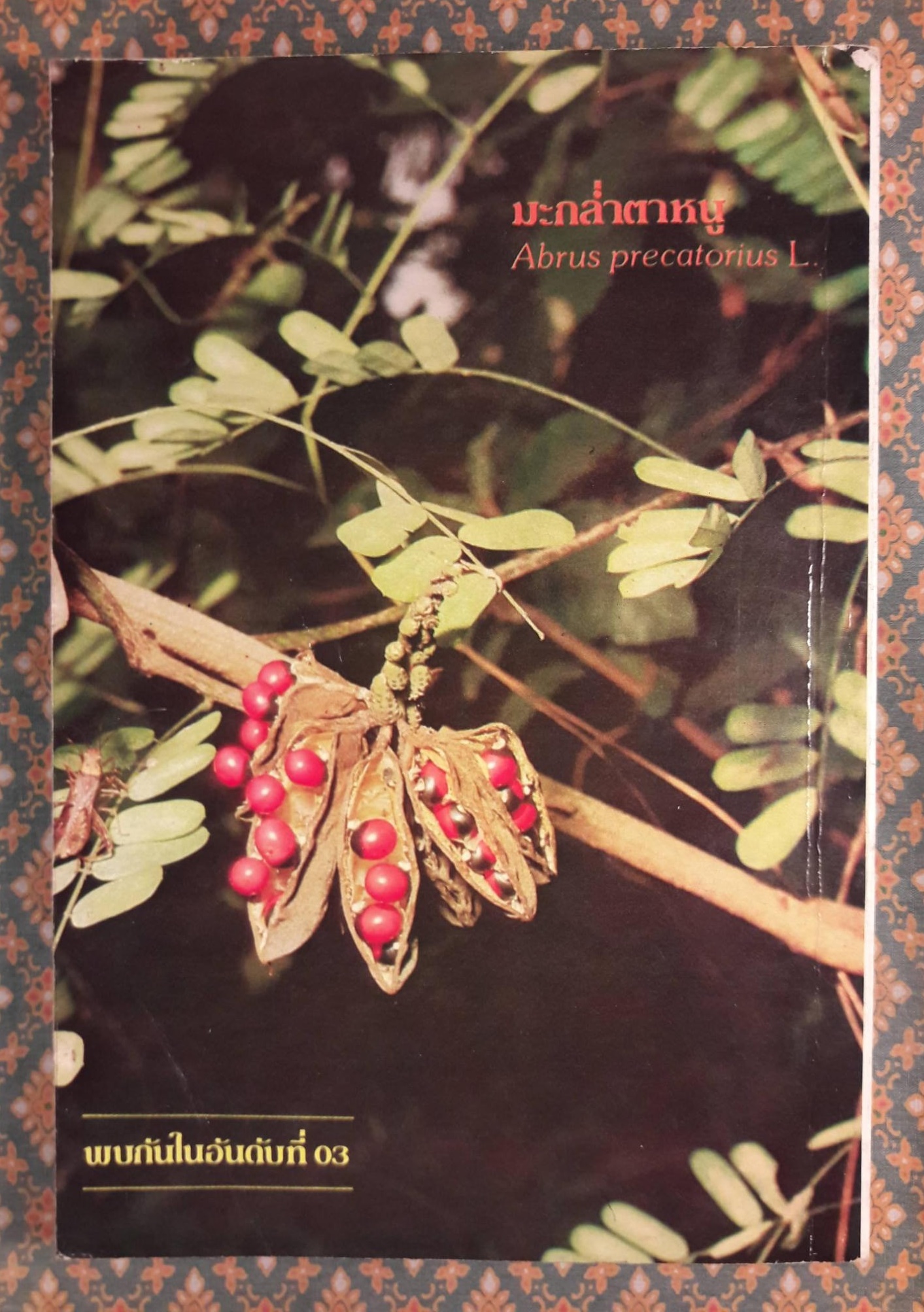 สมุนไพร อันดับที่ 02