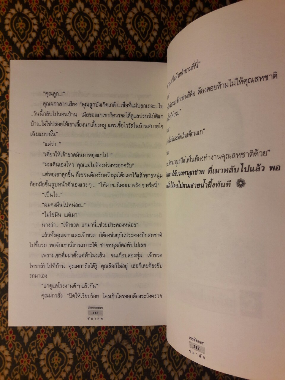 เขยขัดดอก (2 เล่มจบ)