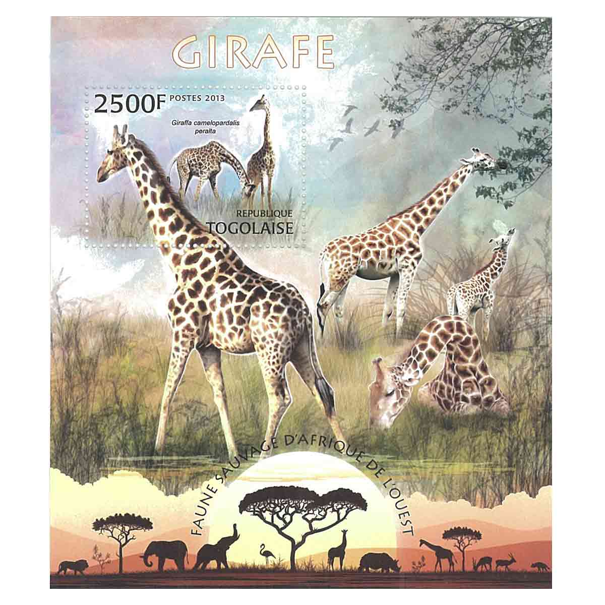Togo Stamp, 2013 Giraffe, Wildlife, Animals S/S