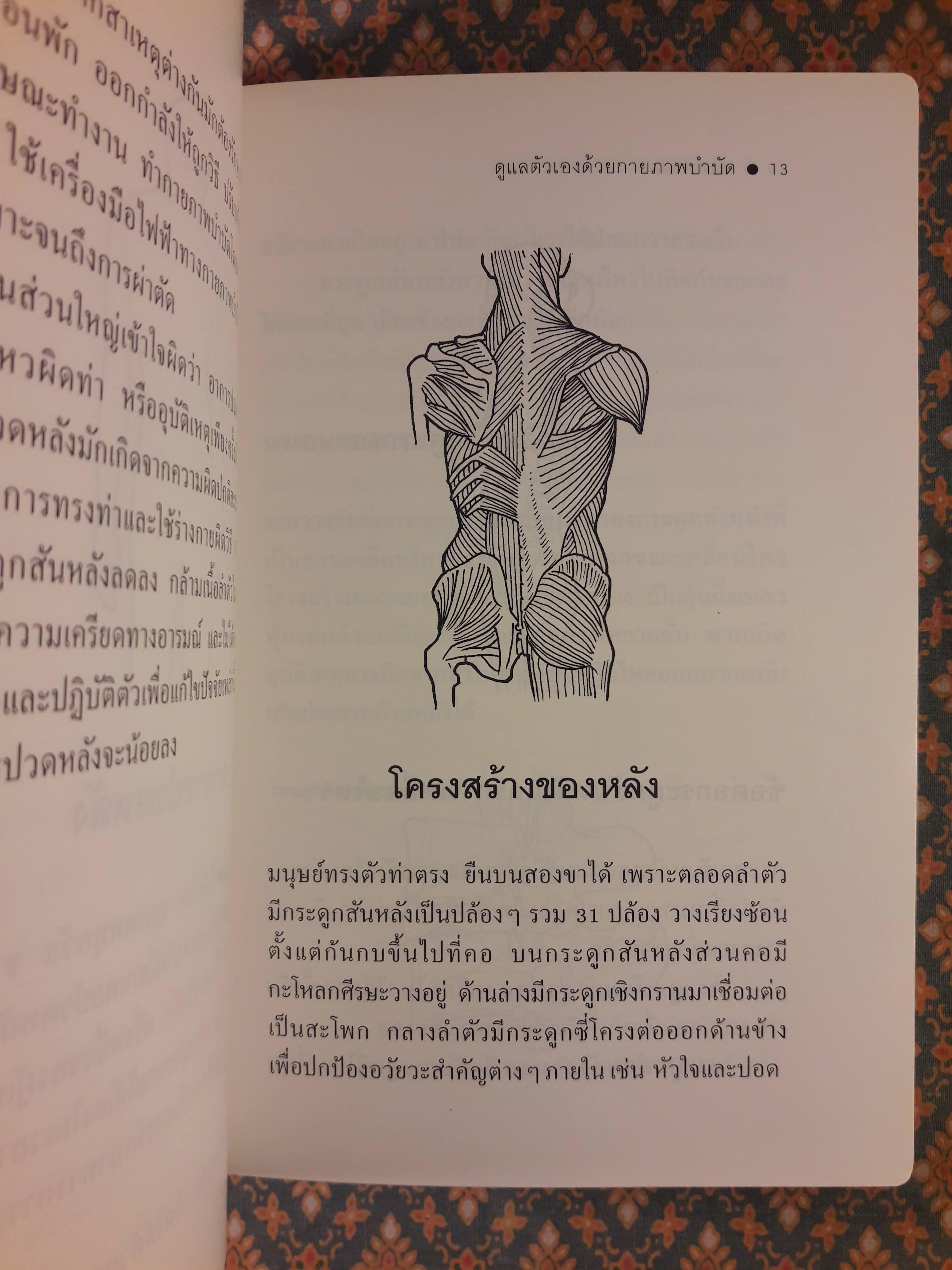 ปวดหลัง