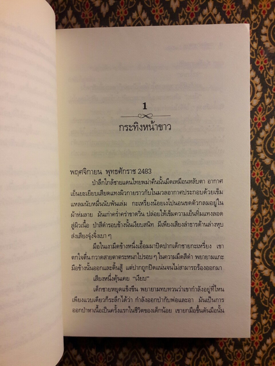 กระทิงป่าขุนยวม