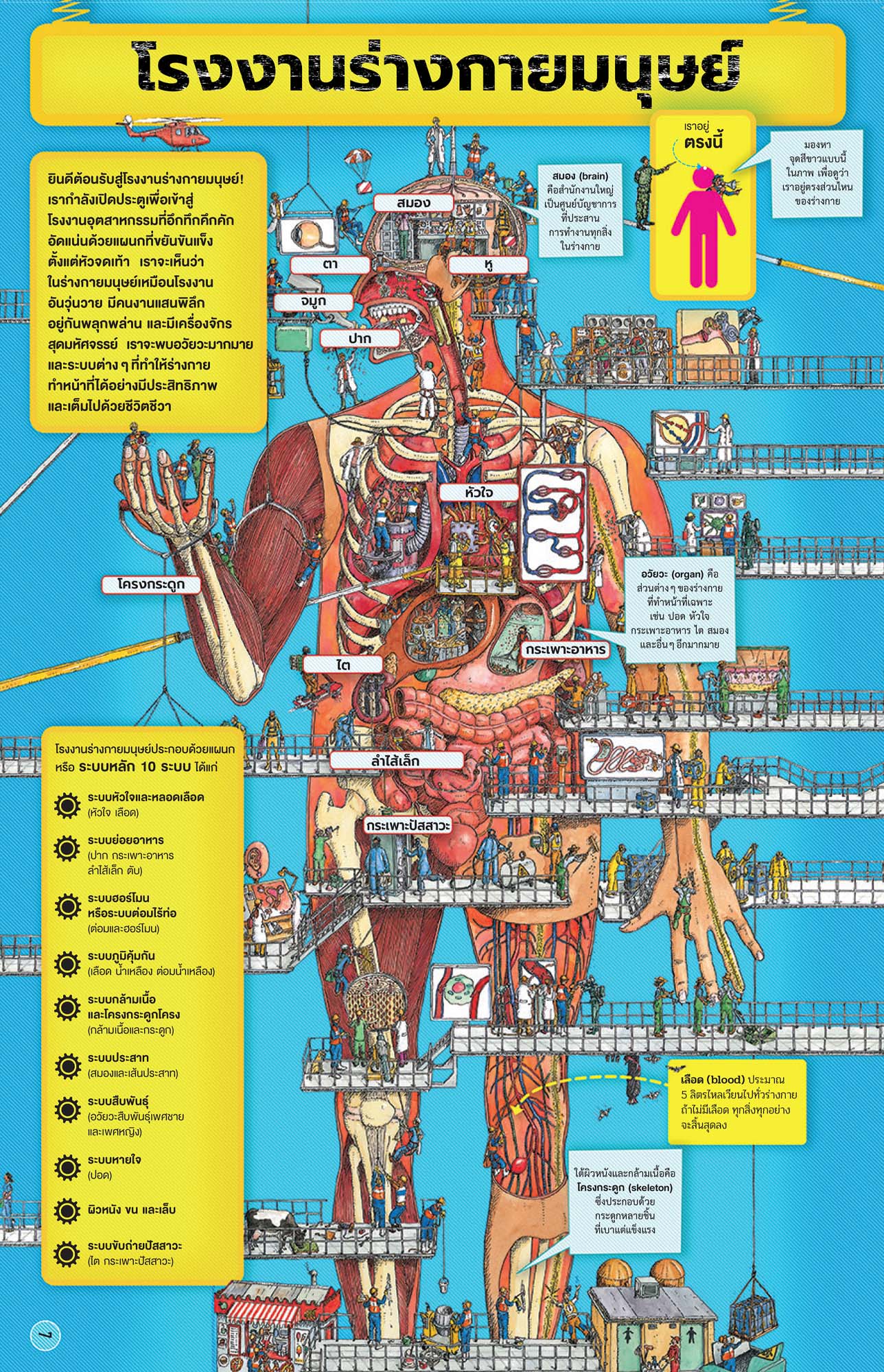 NANMEEBOOKS หนังสือ โรงงานร่างกายมนุษย์ : เสริมความรู้เยาวชน สารานุกรม