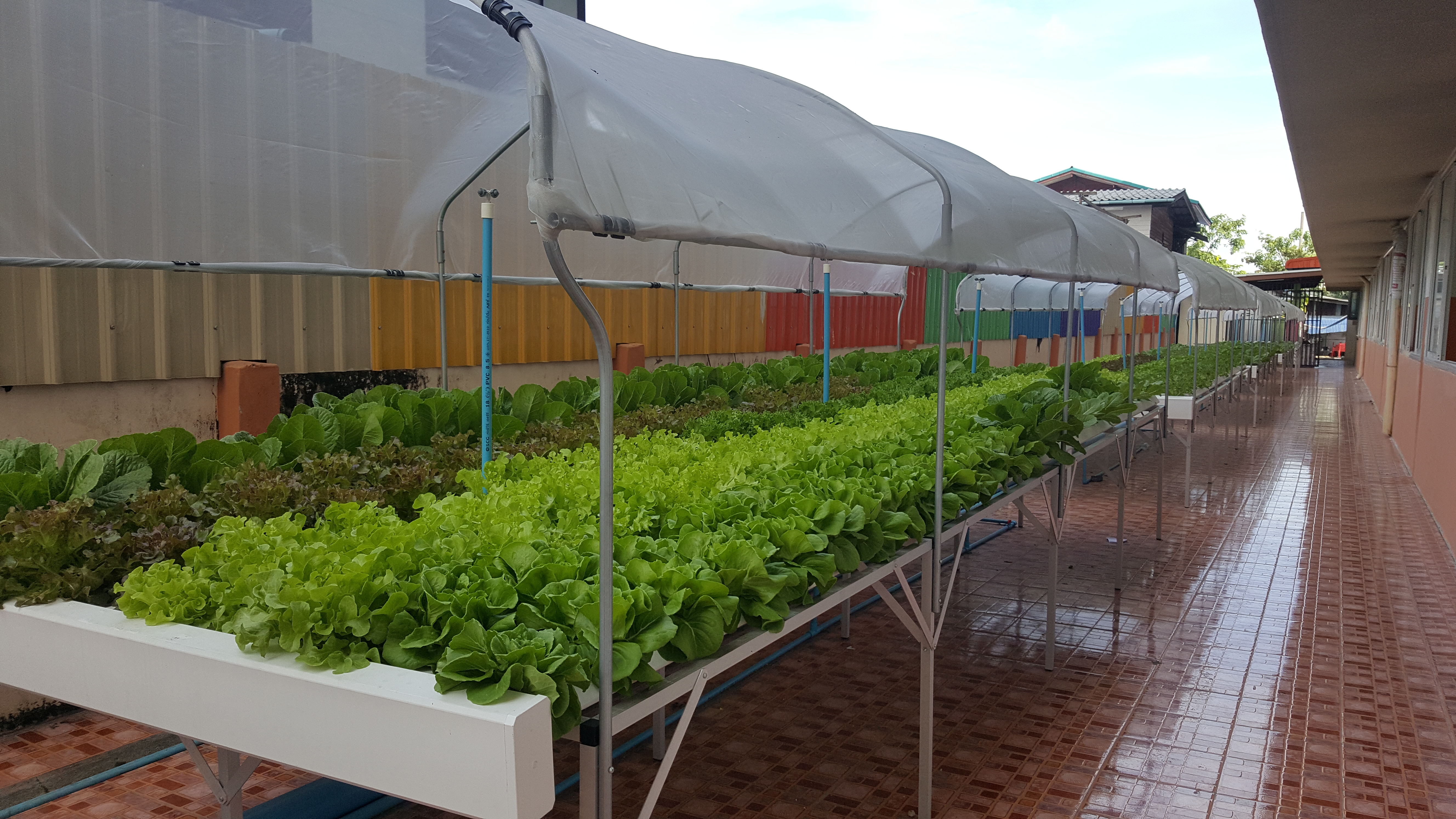 โรงเรียนวัดชมนิมิตร