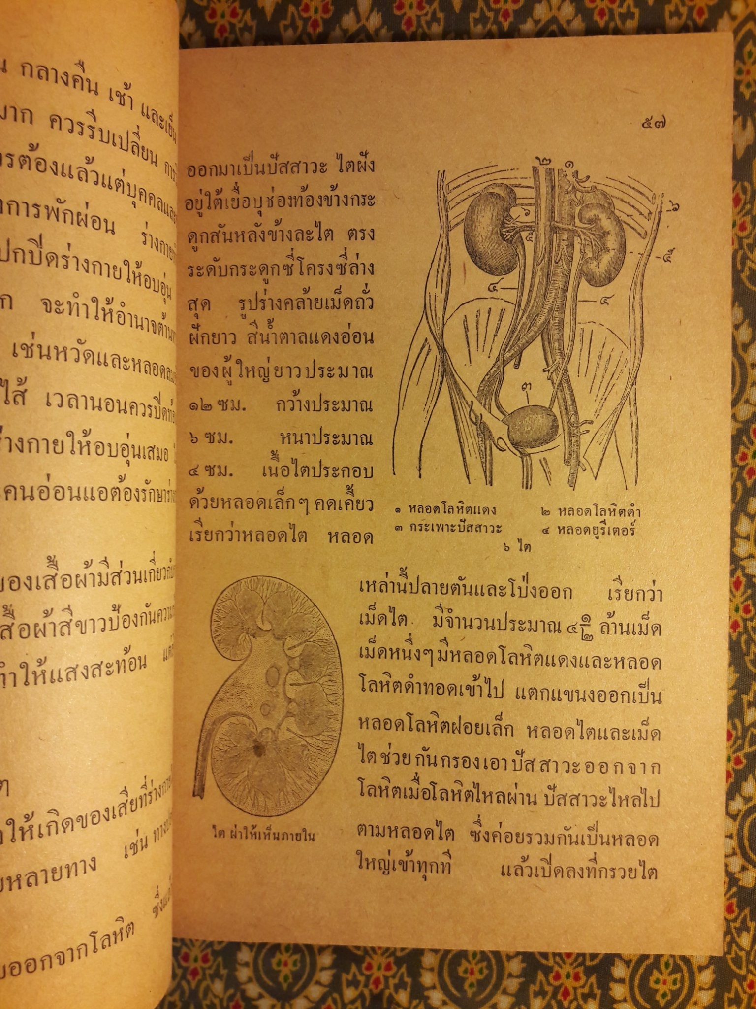 สุขศึกษา ชั้นมัธยมปีที่ 3