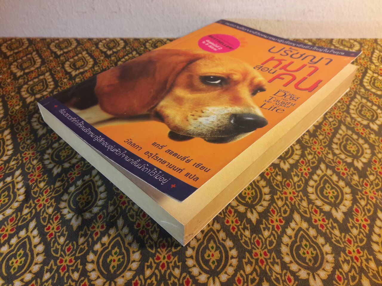 ปรัชญาหมาสอนคน