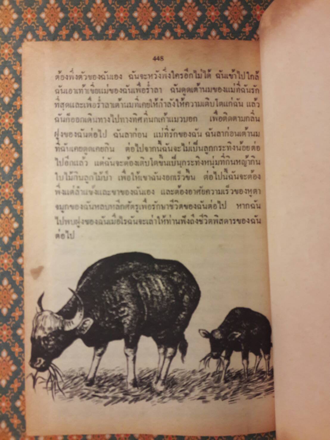 ชีวิตของฉันลูกกระทิง “หนังสือดี 100 ชื่อเรื่อง ที่เด็กและเยาวชนไทยควรอ่าน”