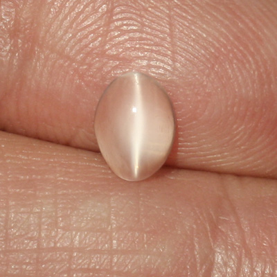 **ขายแล้ว**มูนสโตนตาแมว หรือ มุกดาหารตาแมว (Cat's eye Moonstone) 0.70 กะรัต สีขาว รูปไข่ เล็กๆน่ารัก