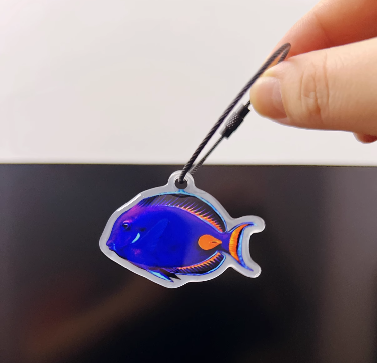 พวกกุญแจ