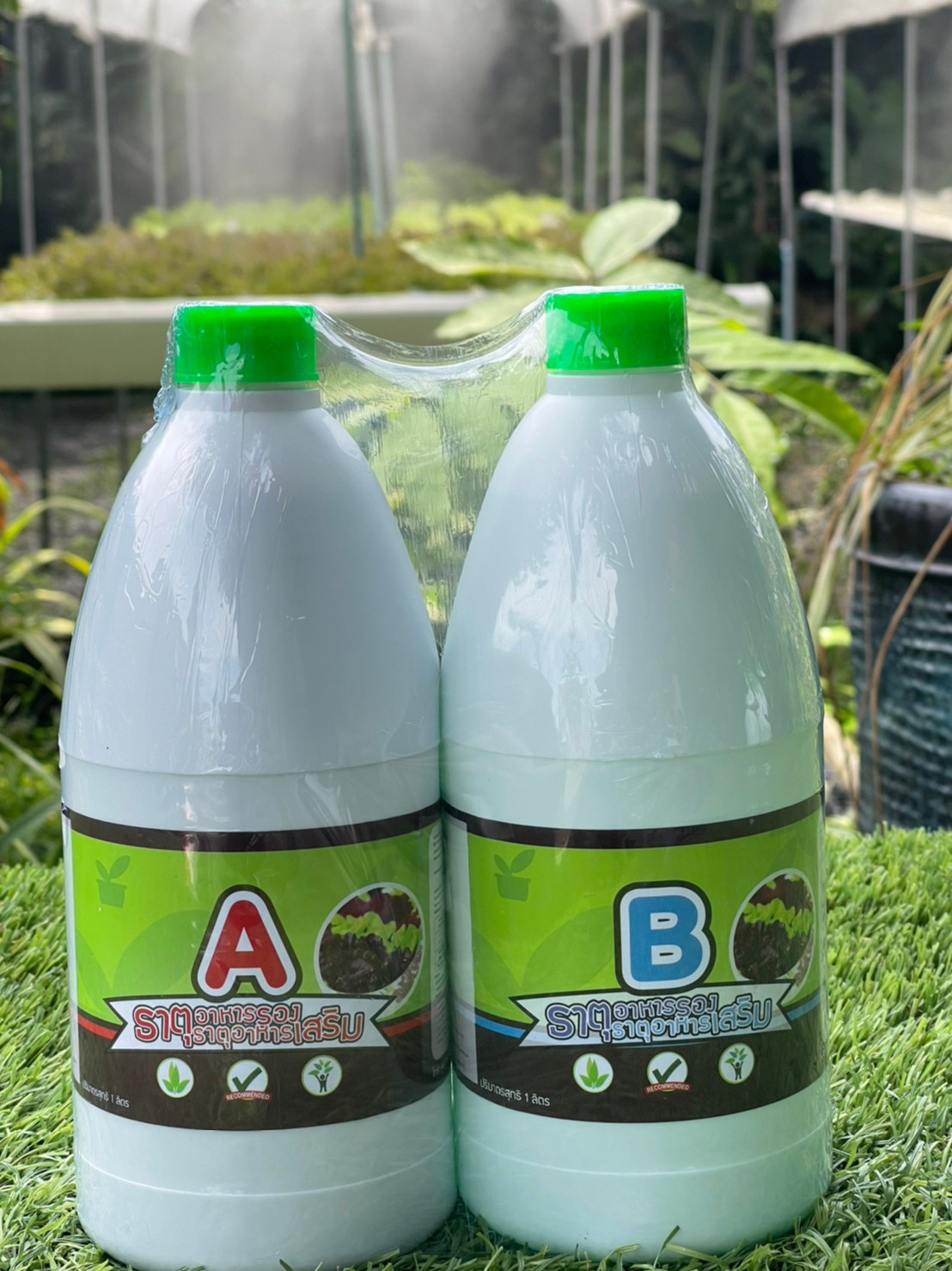 ปุ๋ยไฮโดรโปนิกส์ AB1000cc (ชนิดน้ำสูตรเข้มข้น) สำหรับผักไฮโดรโปนิกส์โดยเฉพาะ สินค้ามีพร้อมส่ง