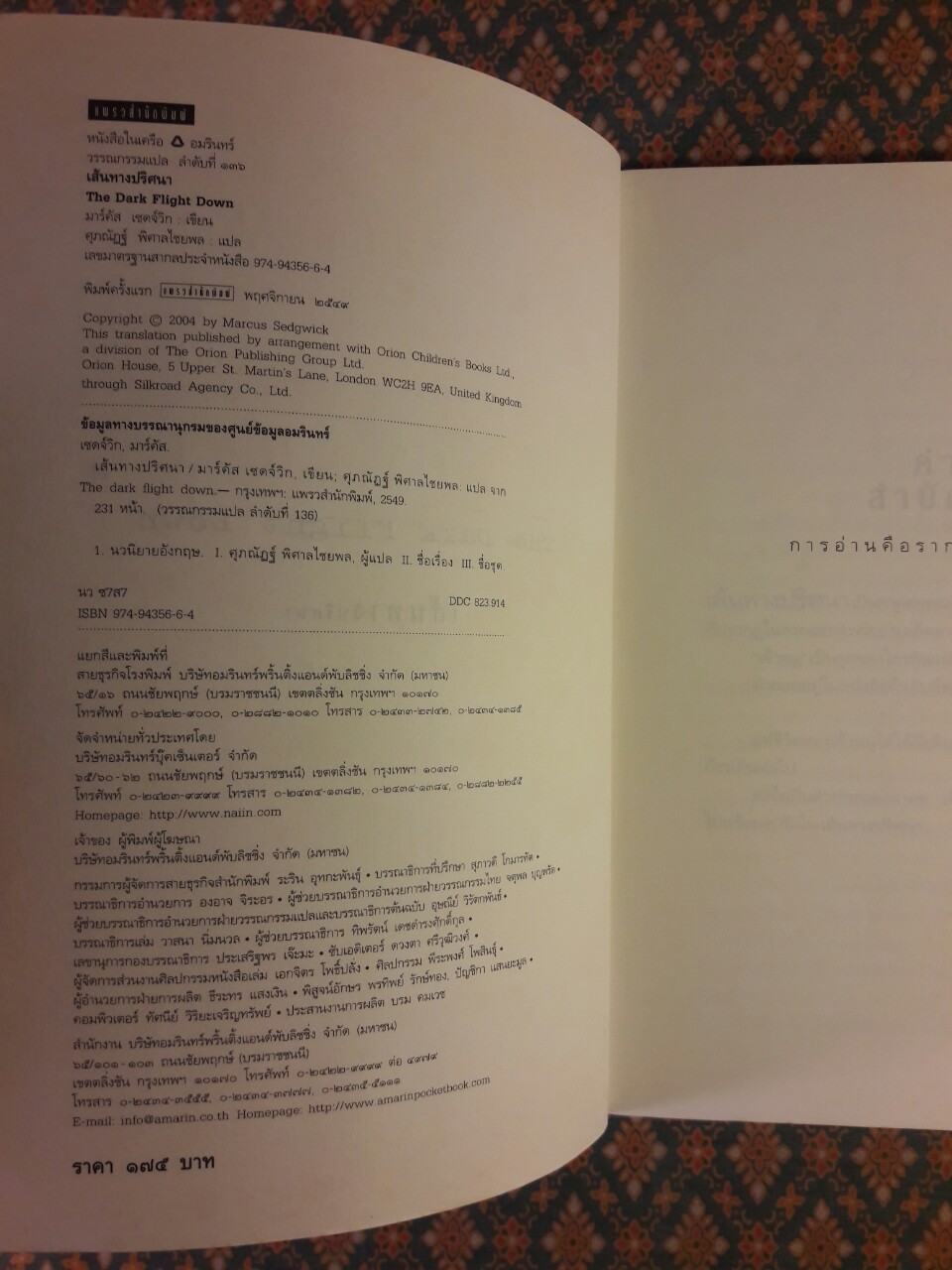 เส้นทางปริศนา The Dark Flight Down