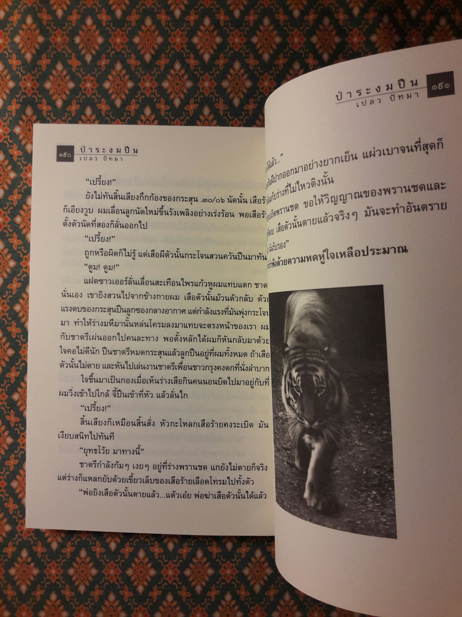 ป่าระงมปืน