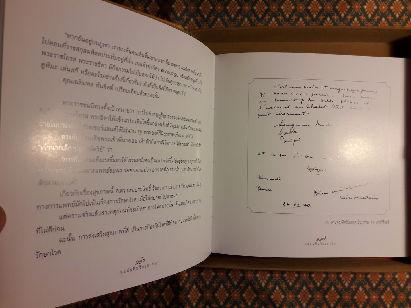 แผ่นดินวัยเยาว์