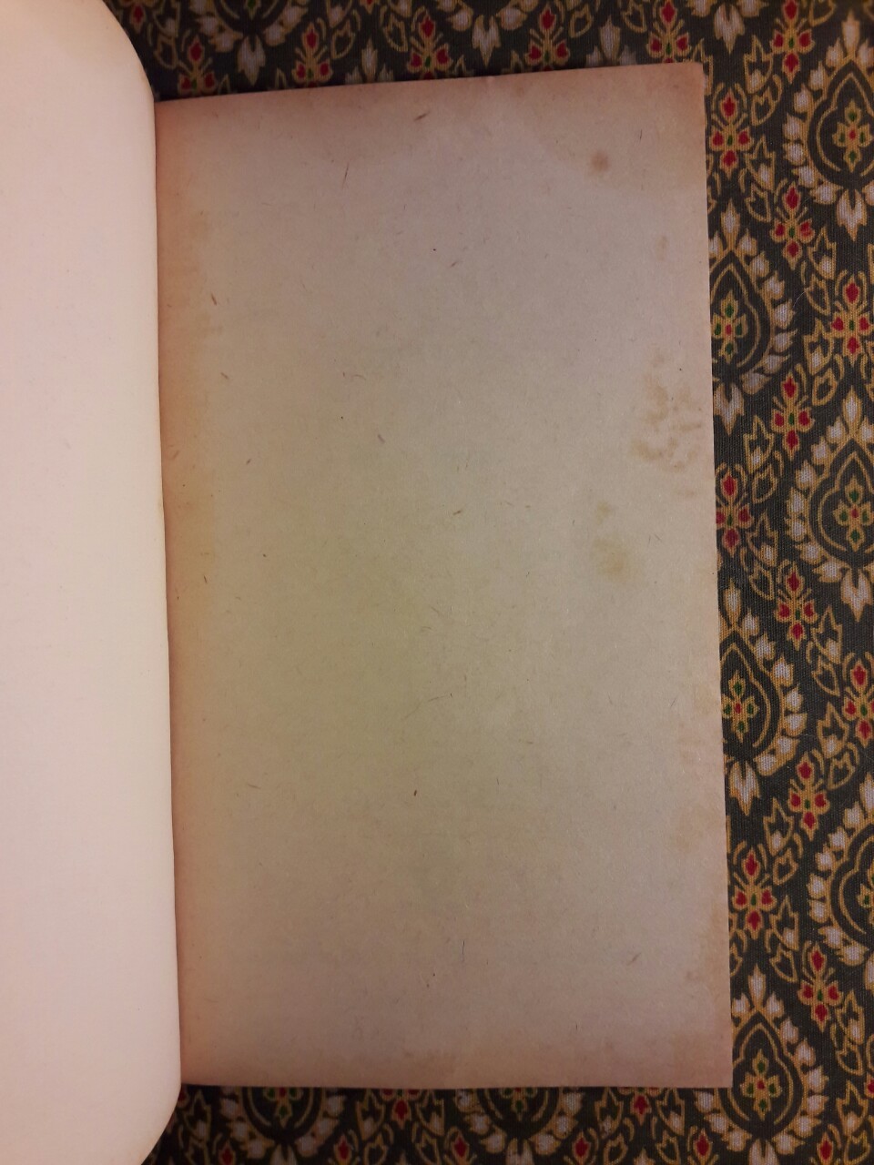 เมียหัวเราะ