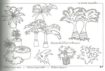 วาดลายเส้น