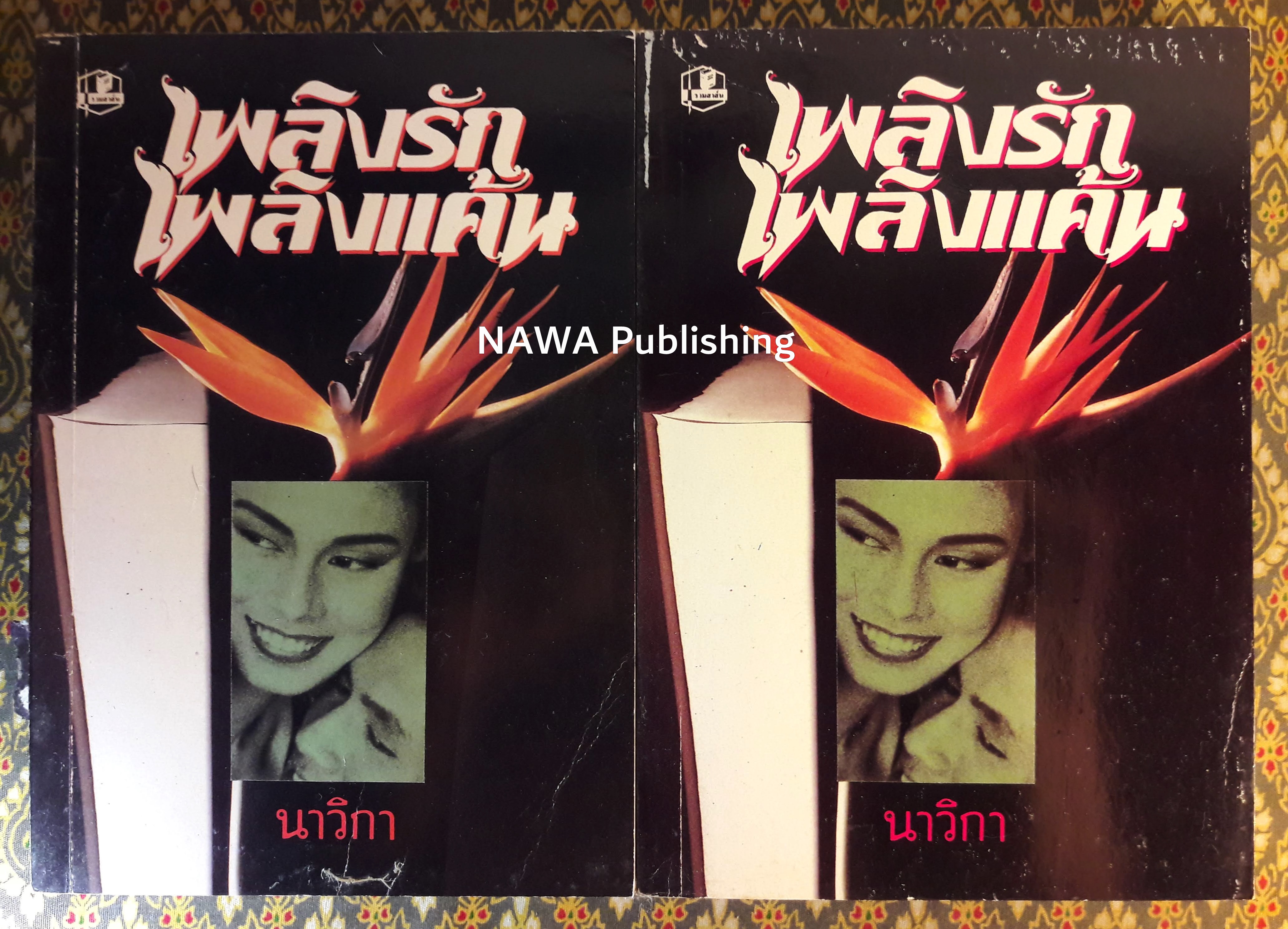 เพลิงรักเพลิงแค้น (2 เล่มจบ)