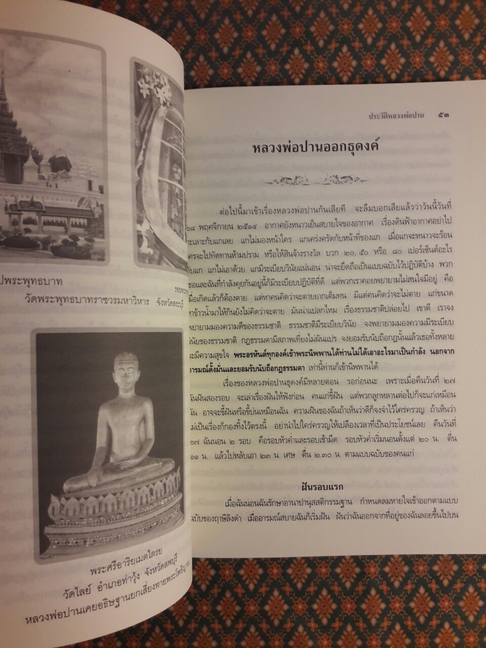 ประวัติหลวงพ่อปาน โสนันโท (พระครูวิหารกิจจานุการ)