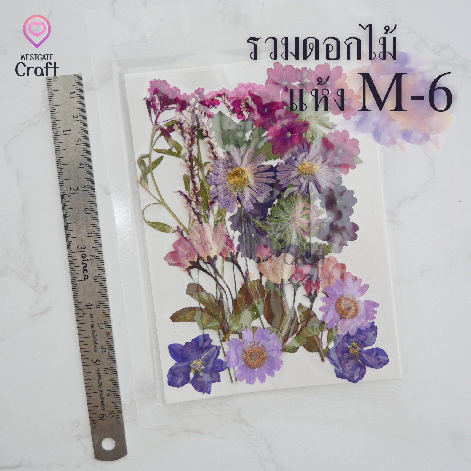 รวมดอกไม้แห้ง M ดอกไม้แห้งทับ ดอกไม้แบบคละ