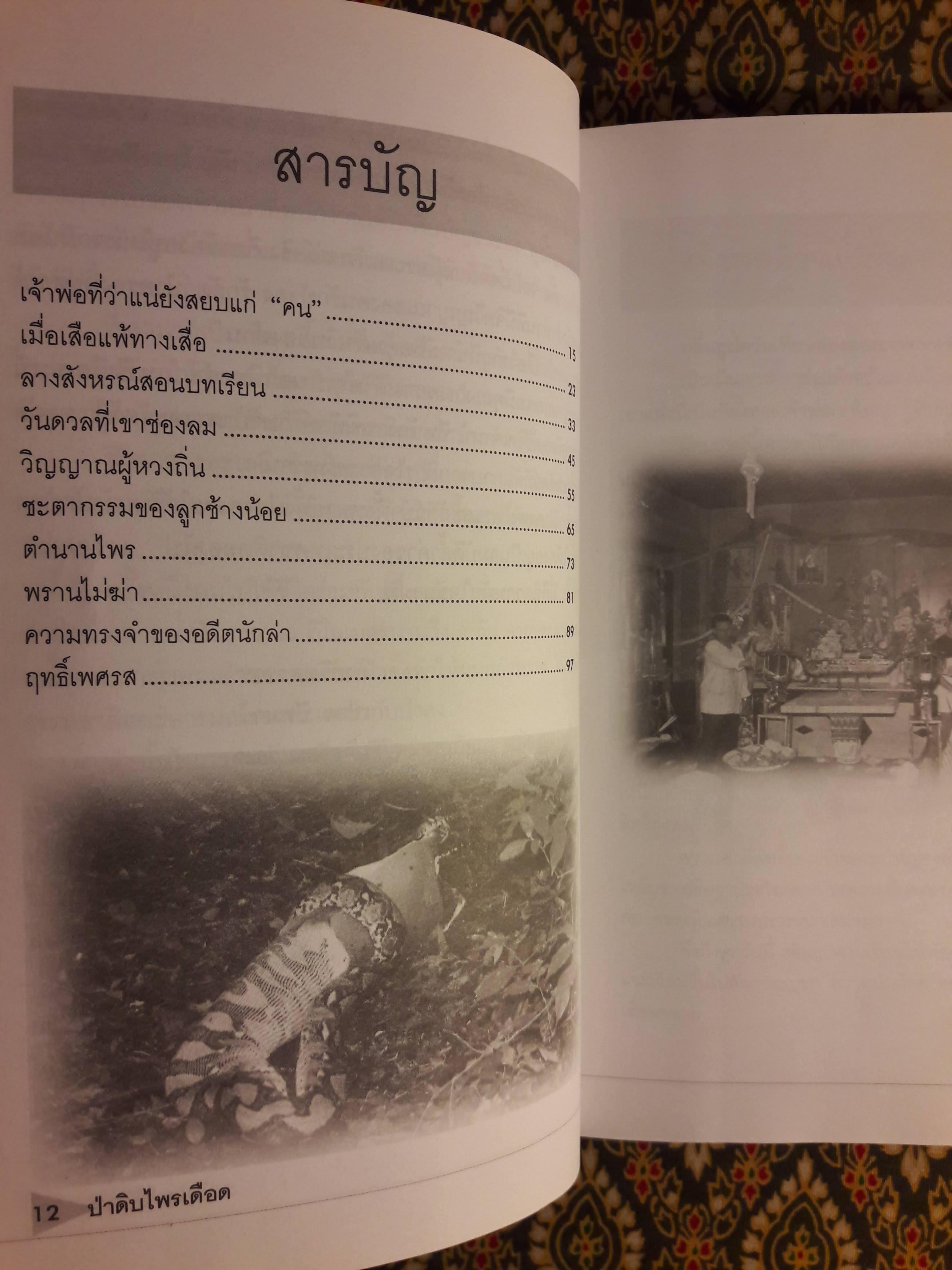 ป่าดิบไพรเดือด