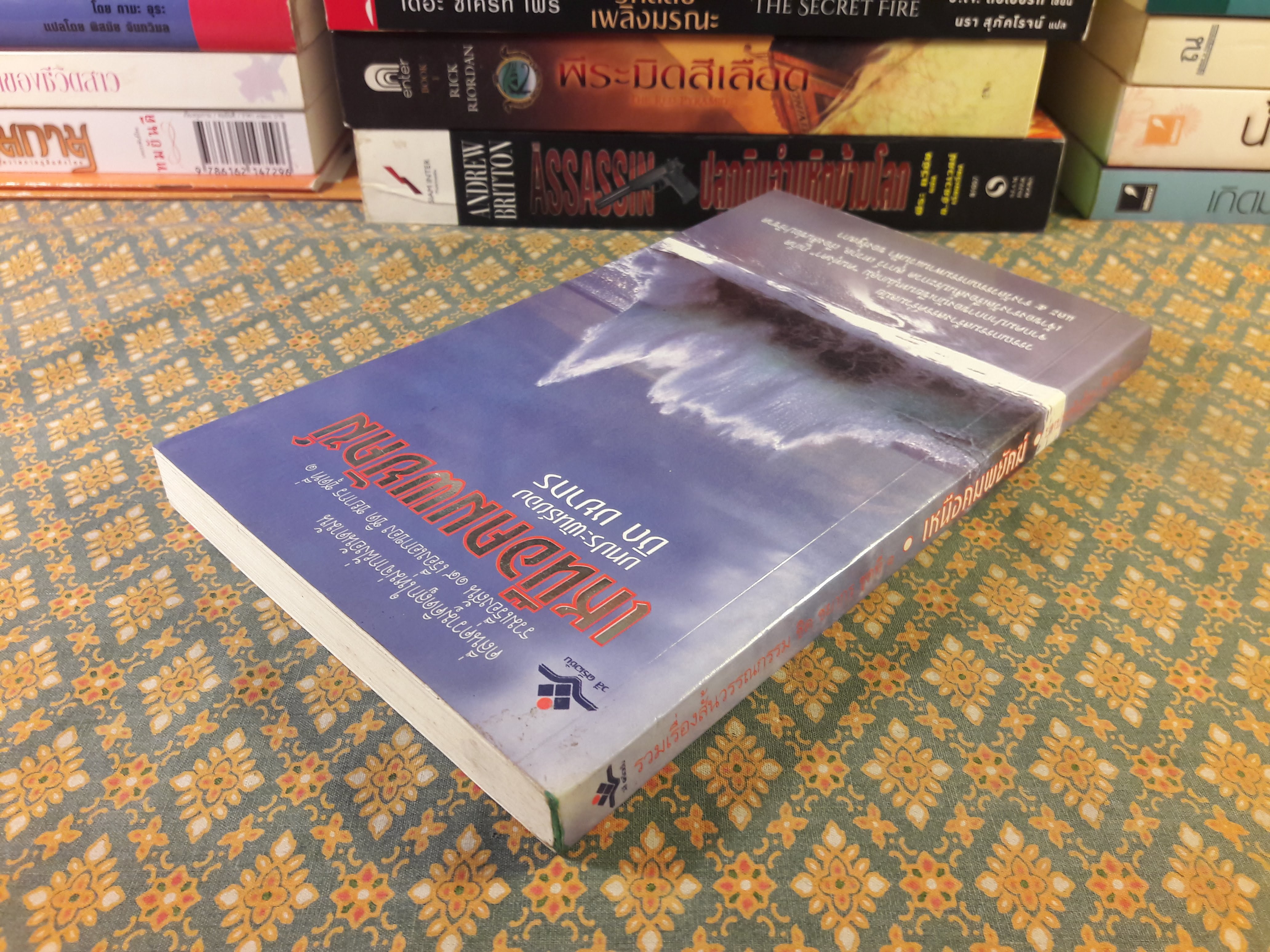 เหนือคมพยัคฆ์