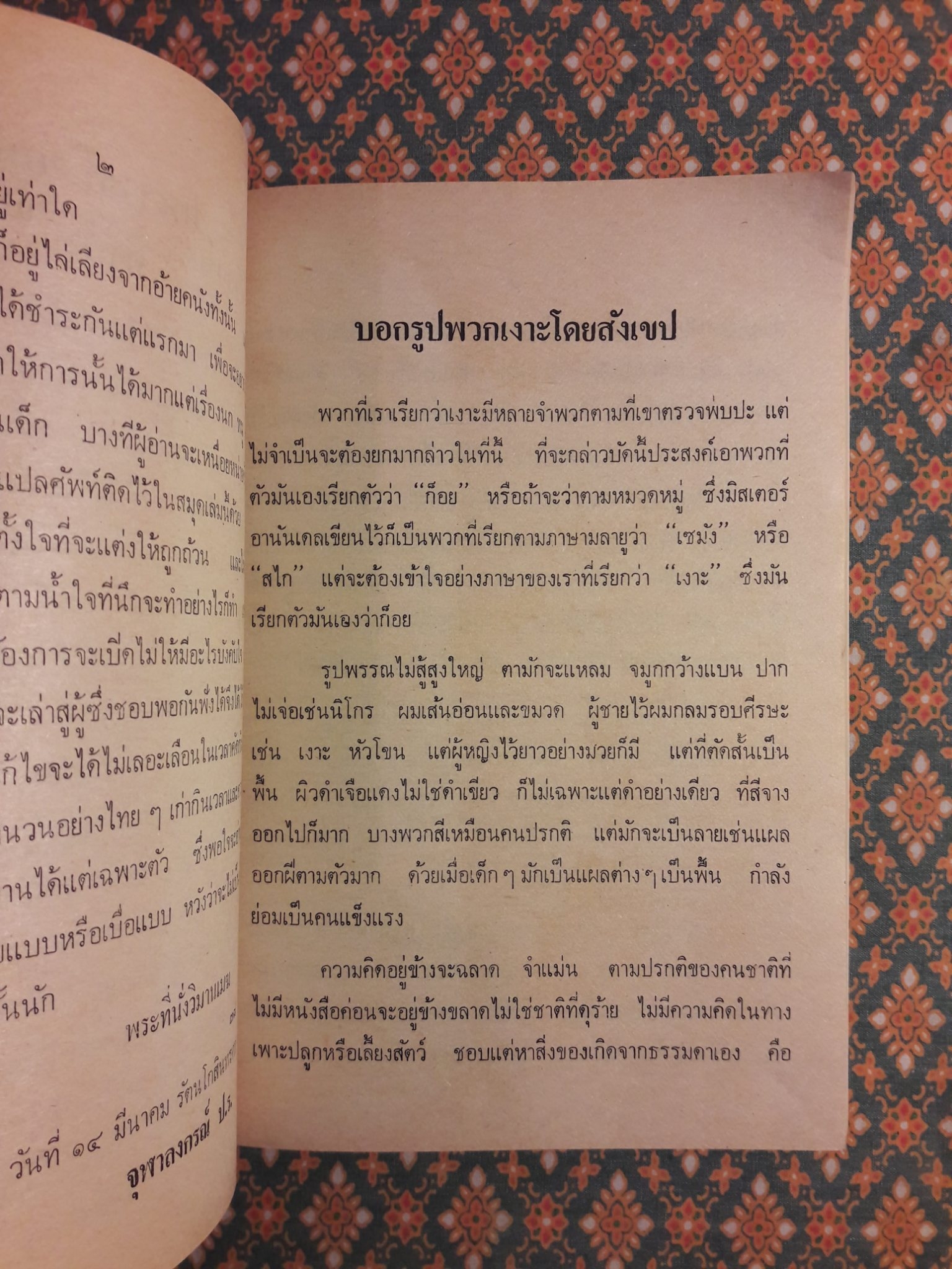 เงาะป่า