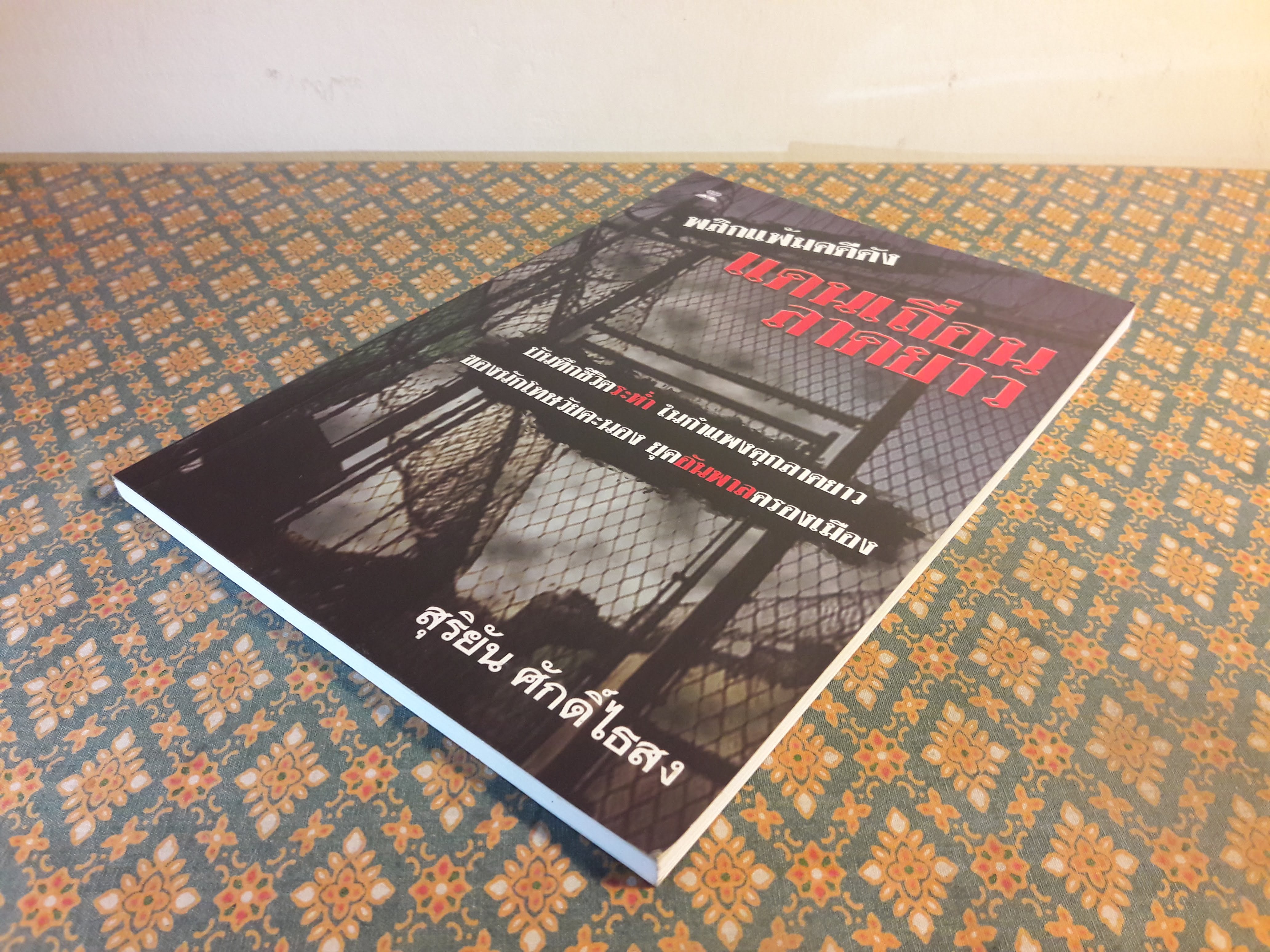 พลิกแฟ้มคดีดัง แดนเถื่อนลาดยาว