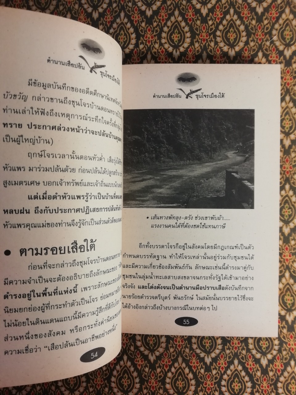 ตำนานเสือปล้นขุนโจรเมืองใต้