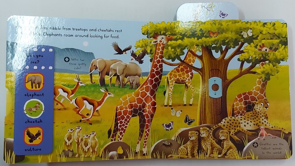 Push Pull Slide Board Book หนังสือภาษาอังกฤษสำหรับเด็ก ของสำนักพิมพ์ Campbellชุด First Explorers