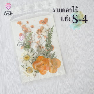 รวมดอกไม้แห้ง S ดอกไม้แห้งทับ ดอกไม้แบบคละ