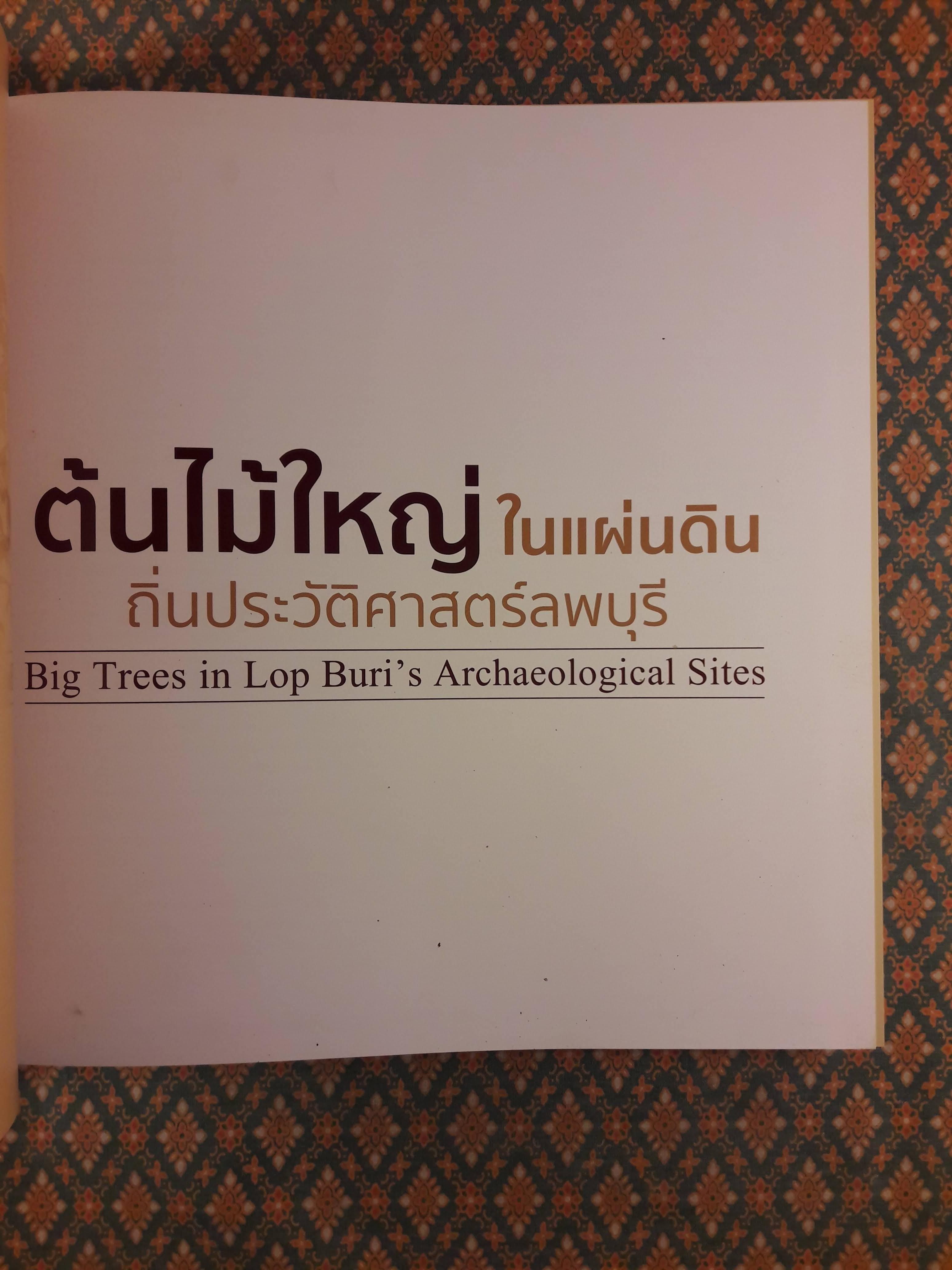 ต้นไม้ใหญ่ในแผ่นดินถิ่นประวัติศาสตร์ลพบุรี Big Trees in Lop Buri's Archacological Sites