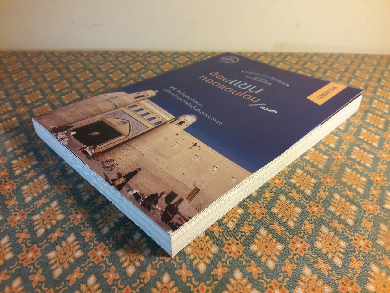 อ้อมแขนกอดแดนโดม