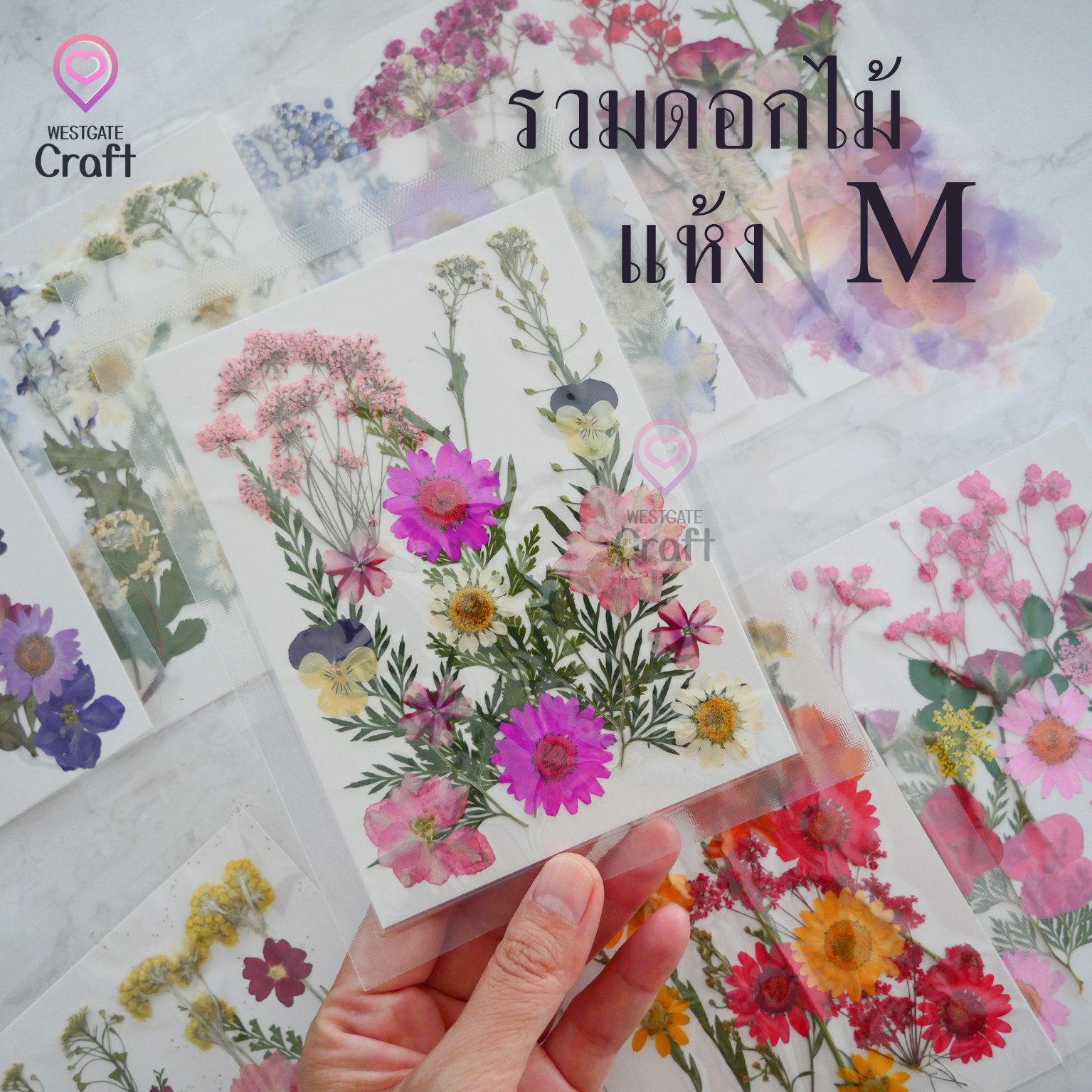 รวมดอกไม้แห้ง M ดอกไม้แห้งทับ ดอกไม้แบบคละ
