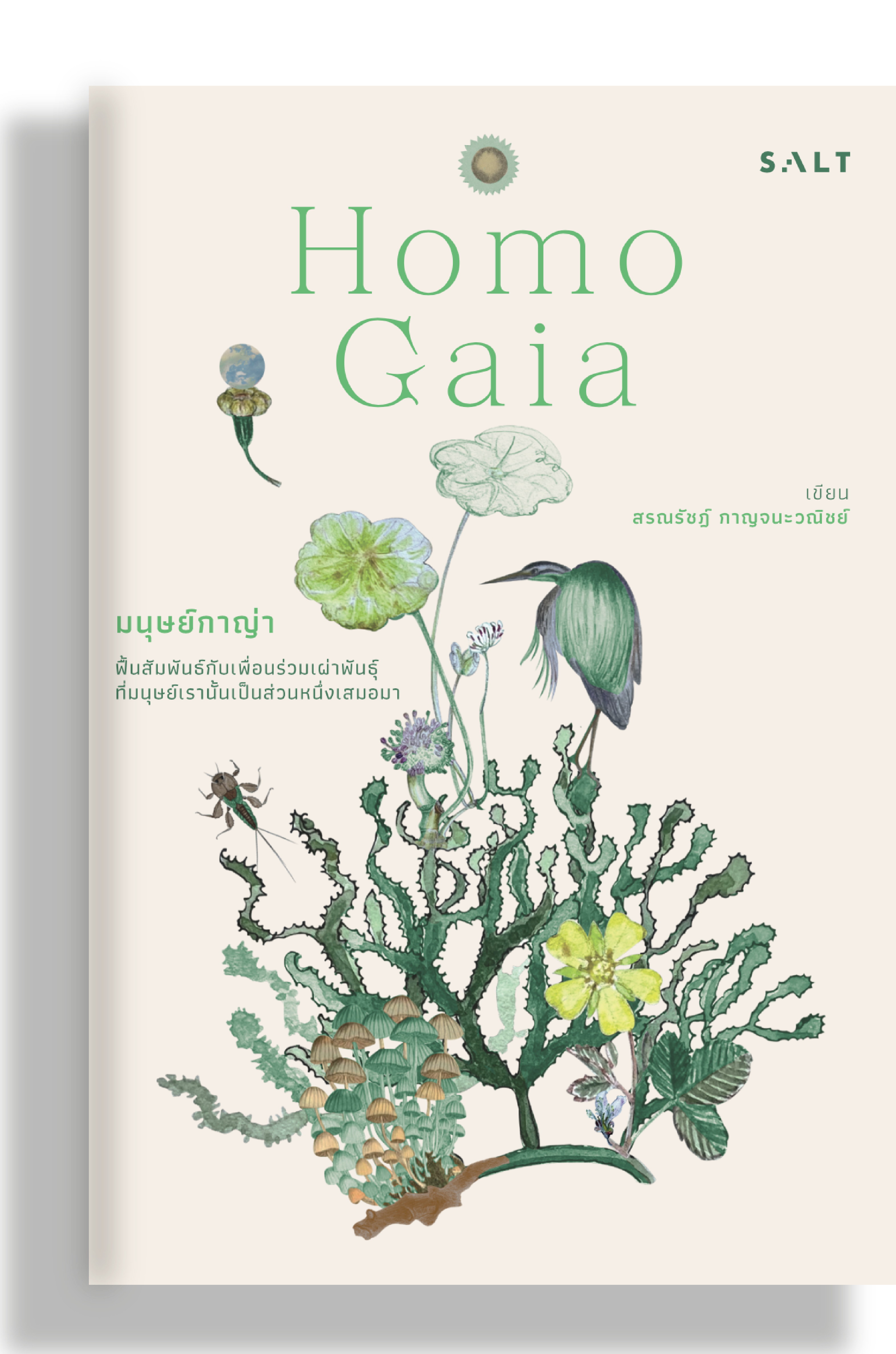 มนุษย์กาญ่า (Homo Gaia)