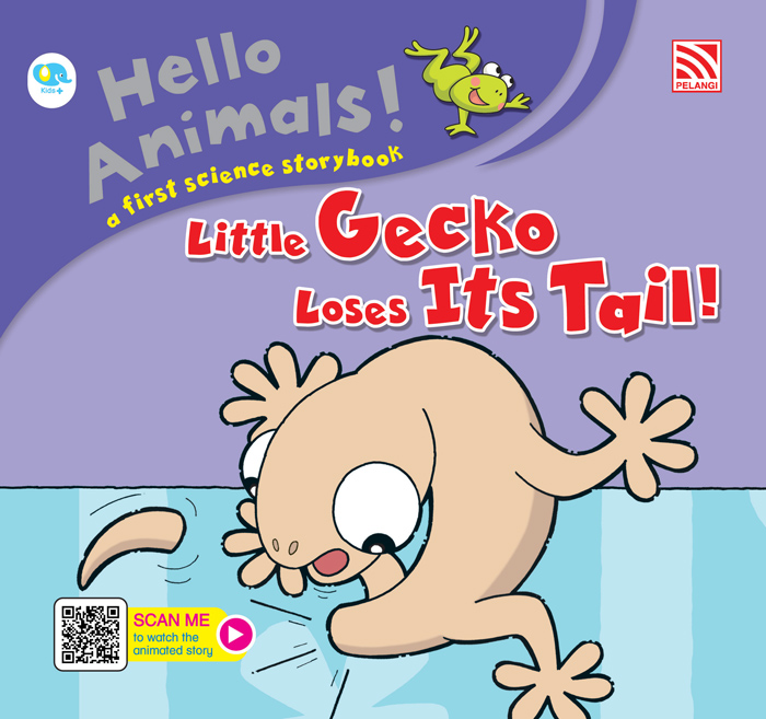 HELLO ANIMALS - LITTLE GECKO LOSES ITS TAIL