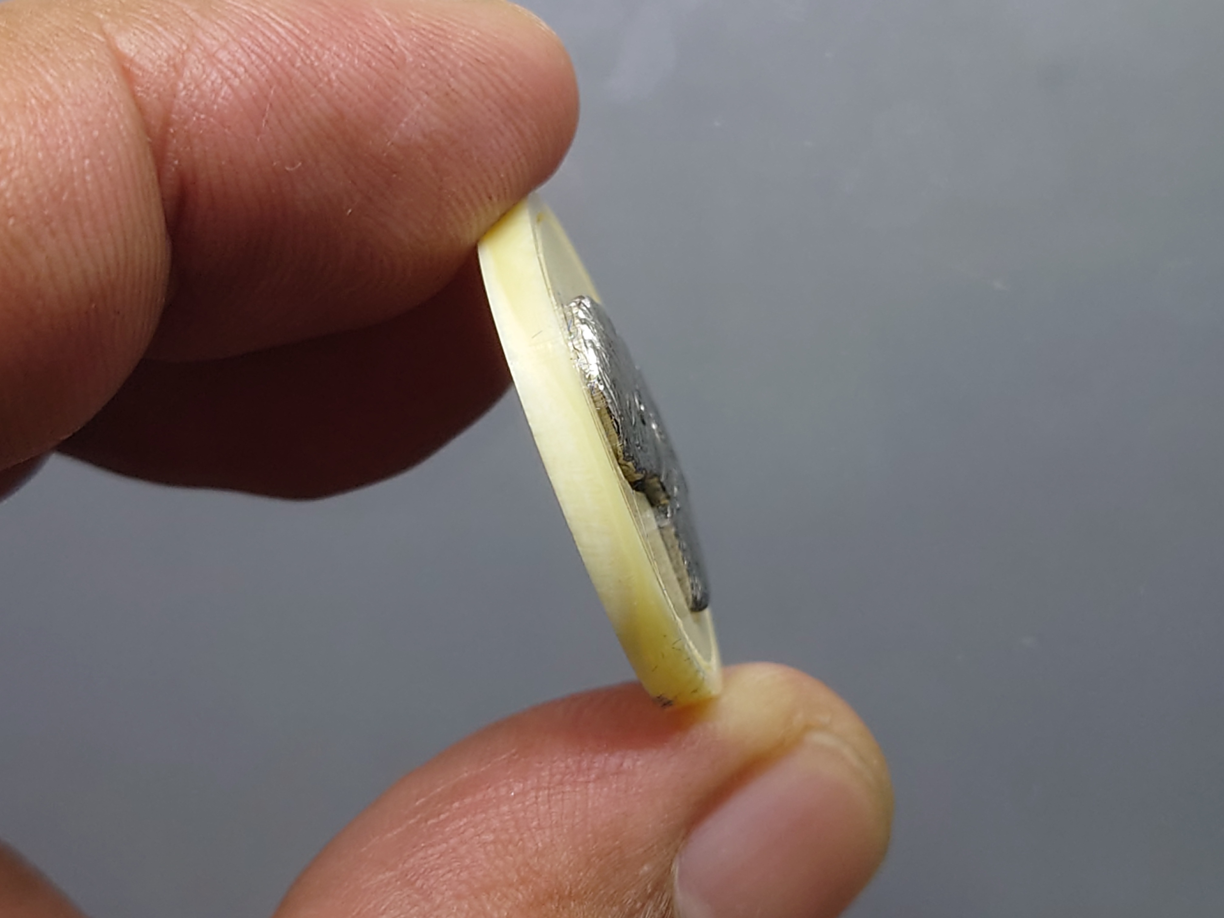 เหรียญรัชกาลที่5 แมมมอธหมื่นปี เนื้องาช้างแมมมอธ หน้ากากเงิน จัดสร้างโดยมูลนิธิศรีรัตนโกสินทร์ วัดพระเชตุพนวิมลมังคลาราม (วัดโพธิ์) ปี2543 พร้อมกล่องเดิม