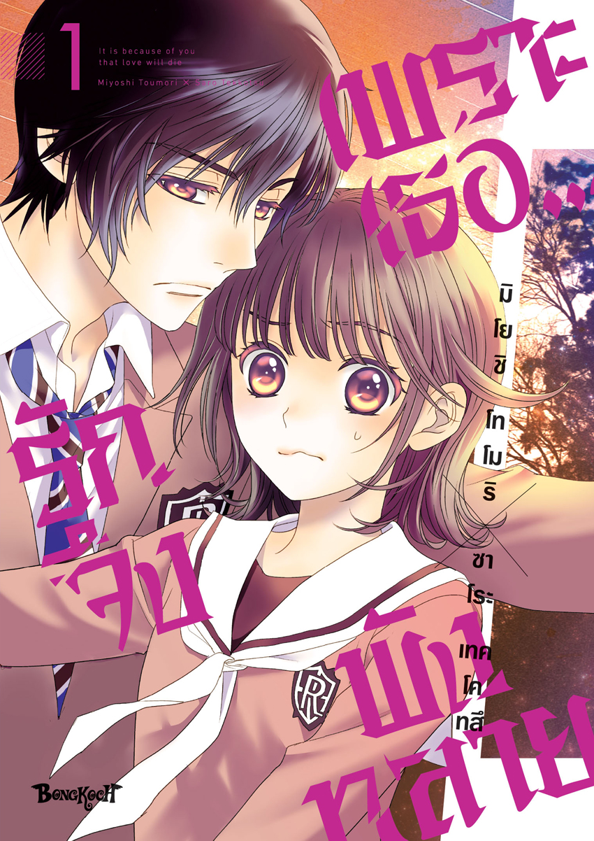 หนังสือการ์ตูนเรื่อง เพราะเธอ...รักจึงพังทลาย เล่ม 1