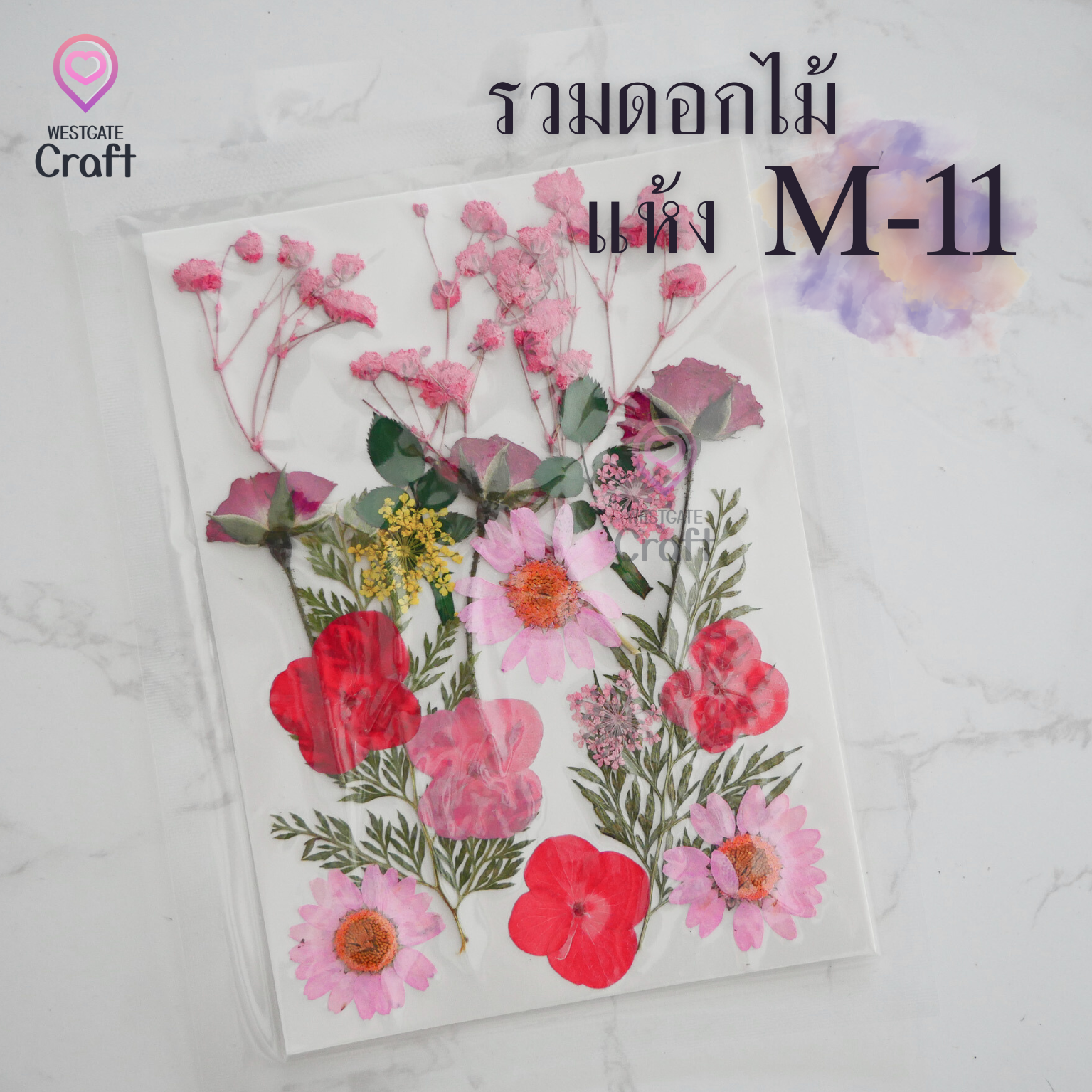 รวมดอกไม้แห้ง M ดอกไม้แห้งทับ ดอกไม้แบบคละ