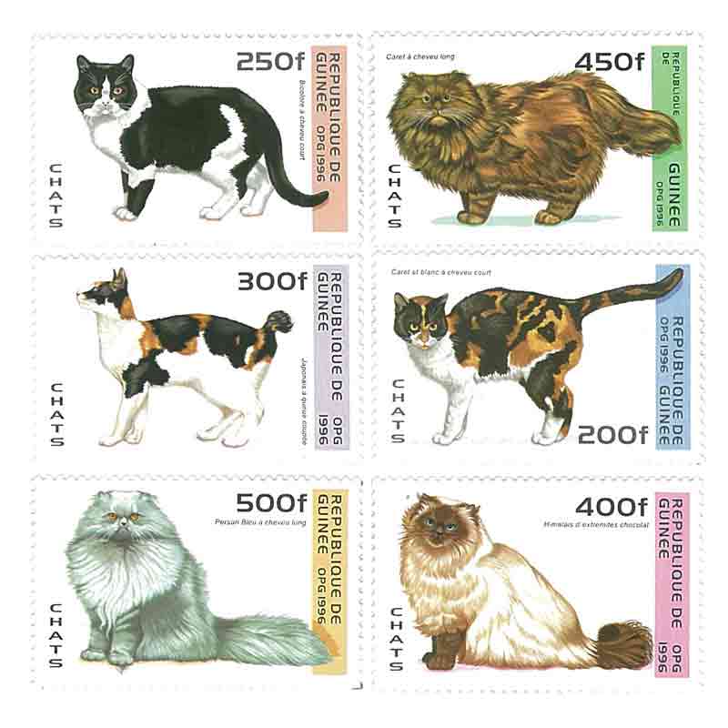 Republic of Guinea Stamp, 1996 Cat, Pet, Animal