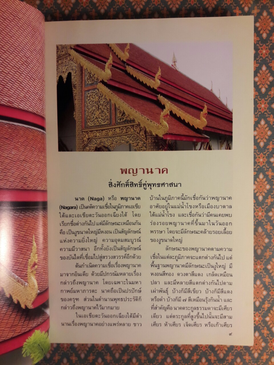 มหัศจรรย์พญานาค