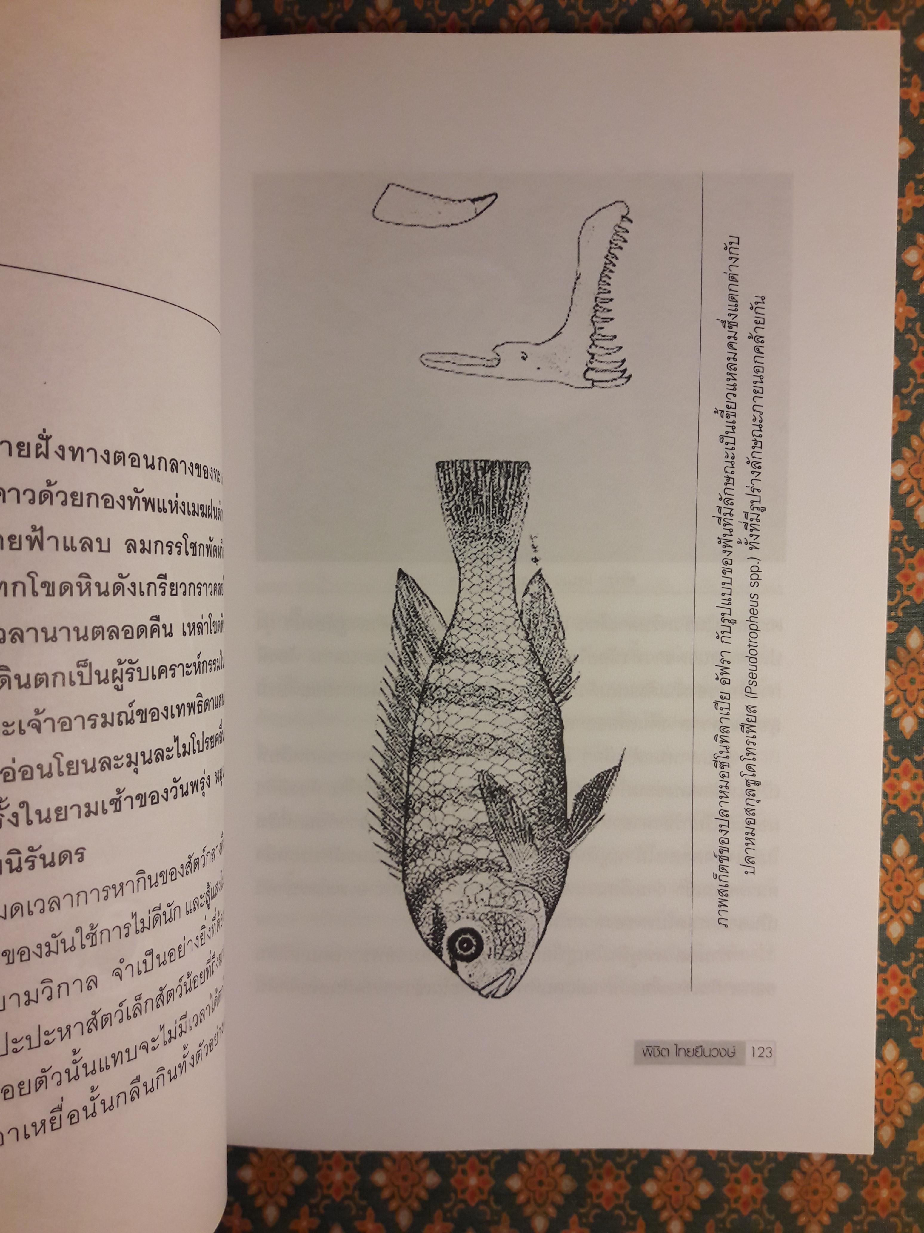 โลกของปลาหมอสี (The Amazing of Cichlid’s Variety)