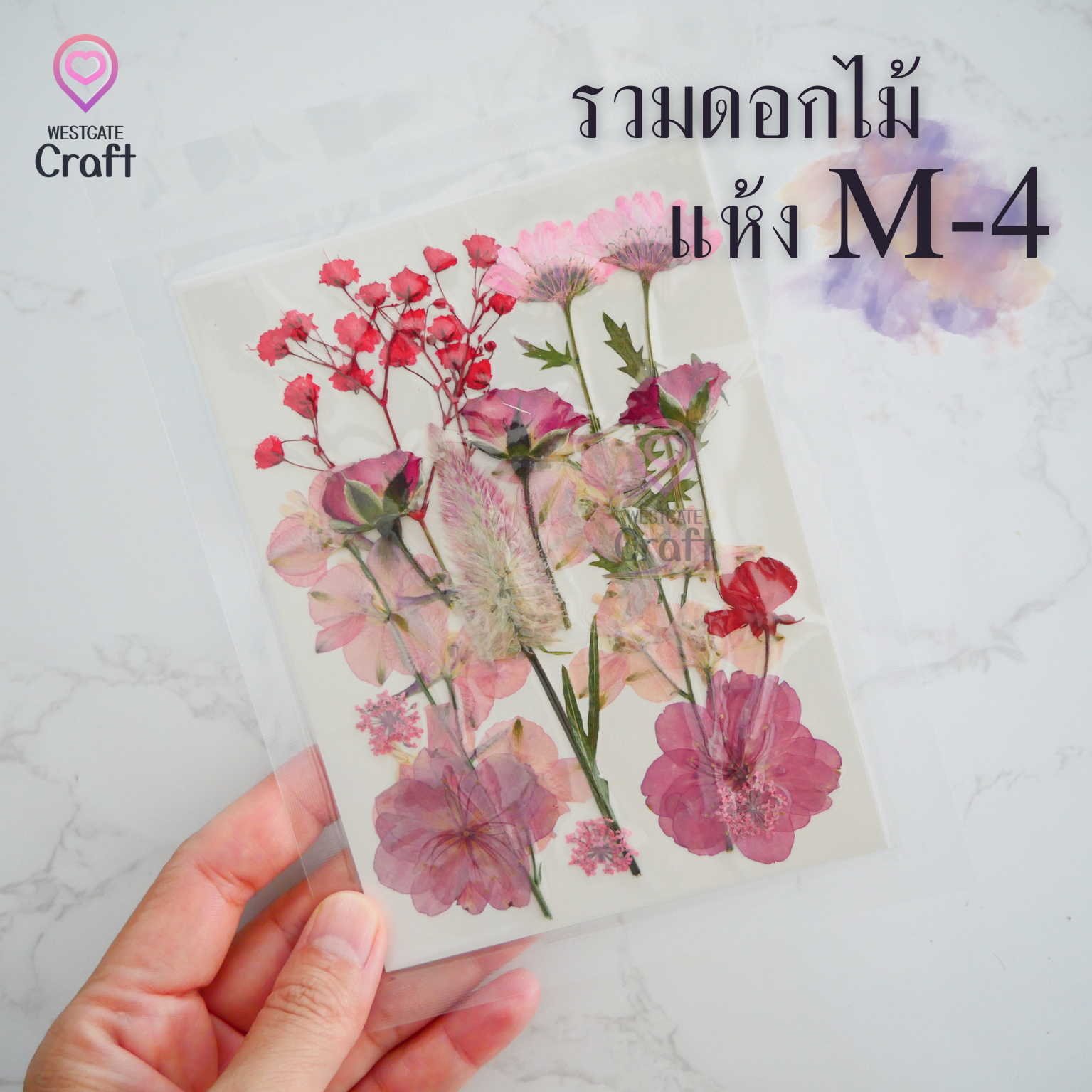 รวมดอกไม้แห้ง M ดอกไม้แห้งทับ ดอกไม้แบบคละ