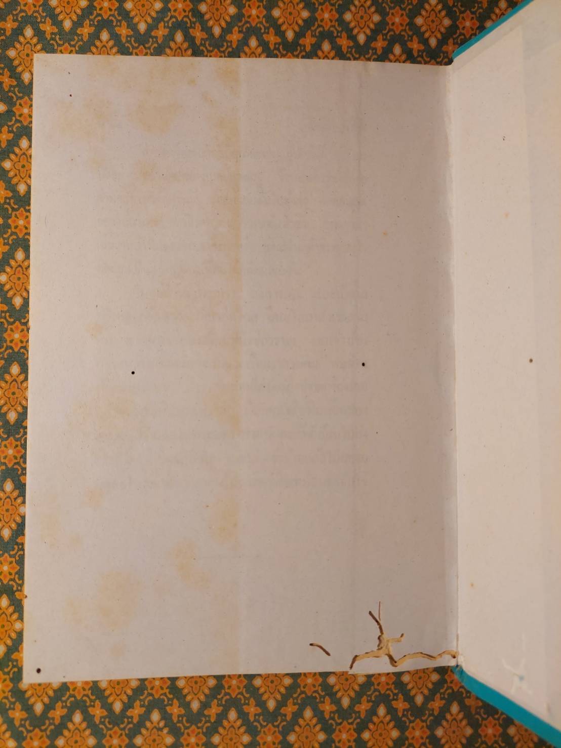 ผู้ที่ไม่มีร่างกาย