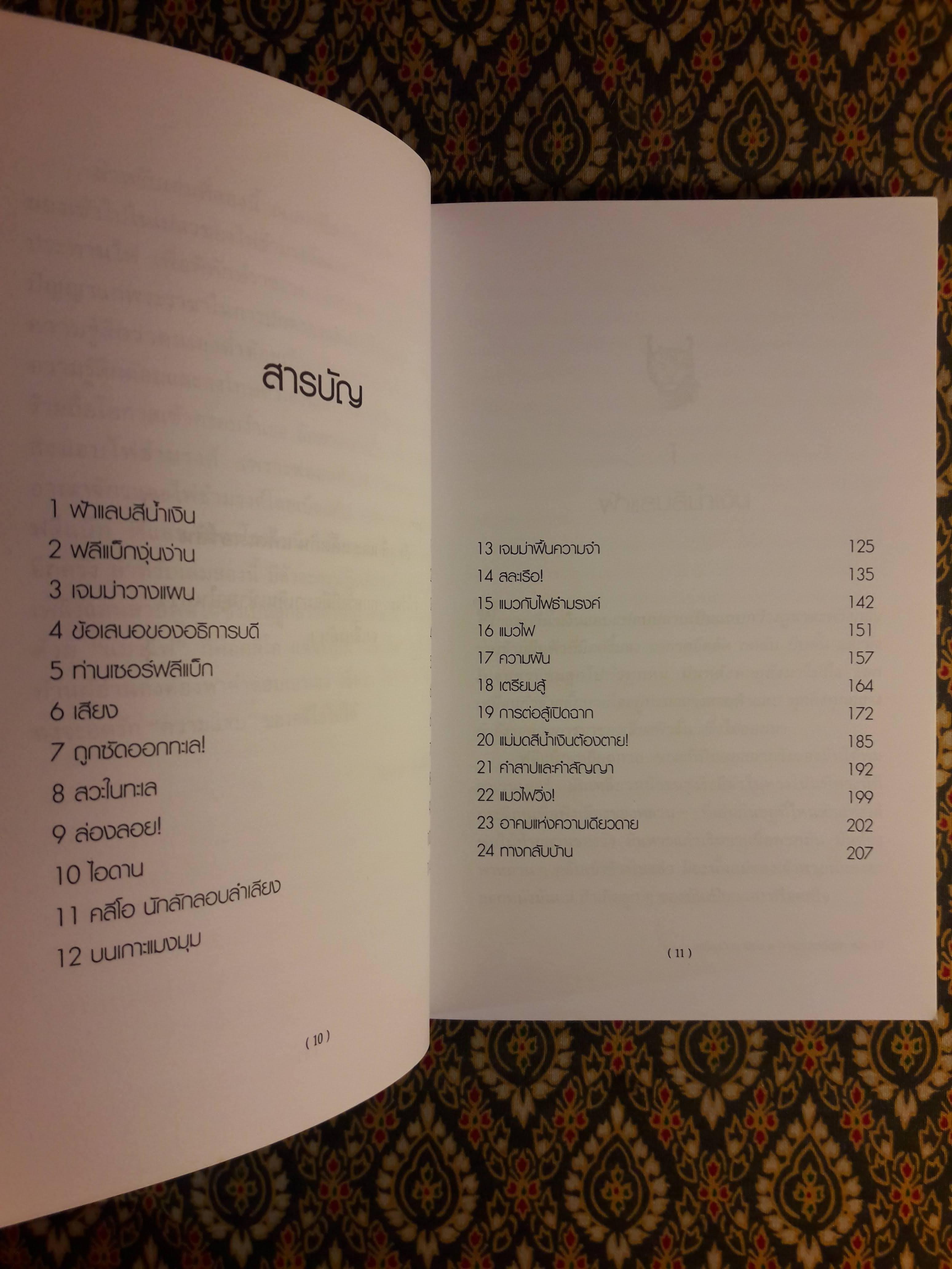 ฟลีแบ็กกับแมวไฟ FLEABAG AND THE FIRE CAT